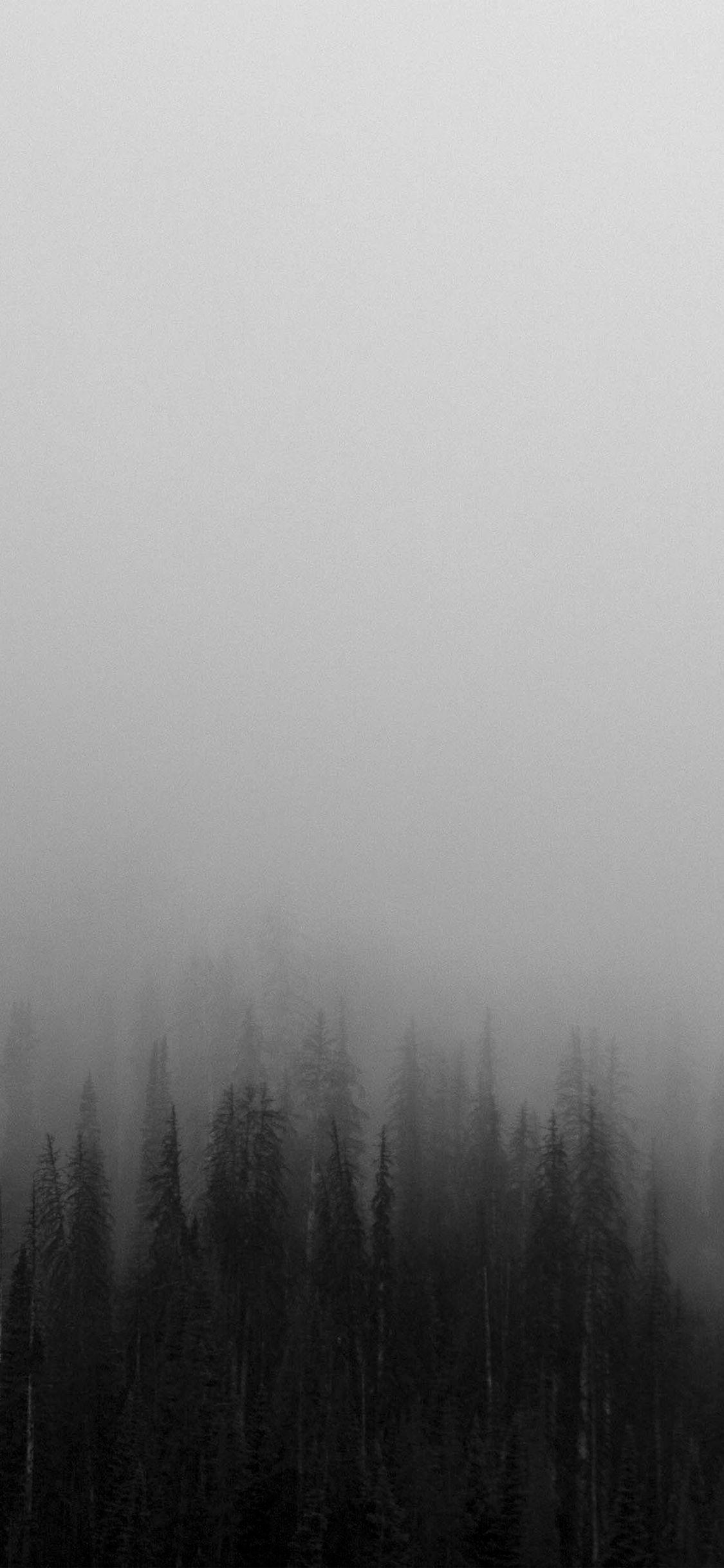 1125x2436 Fog Minimal Mountain Wood Nature Wallpaper