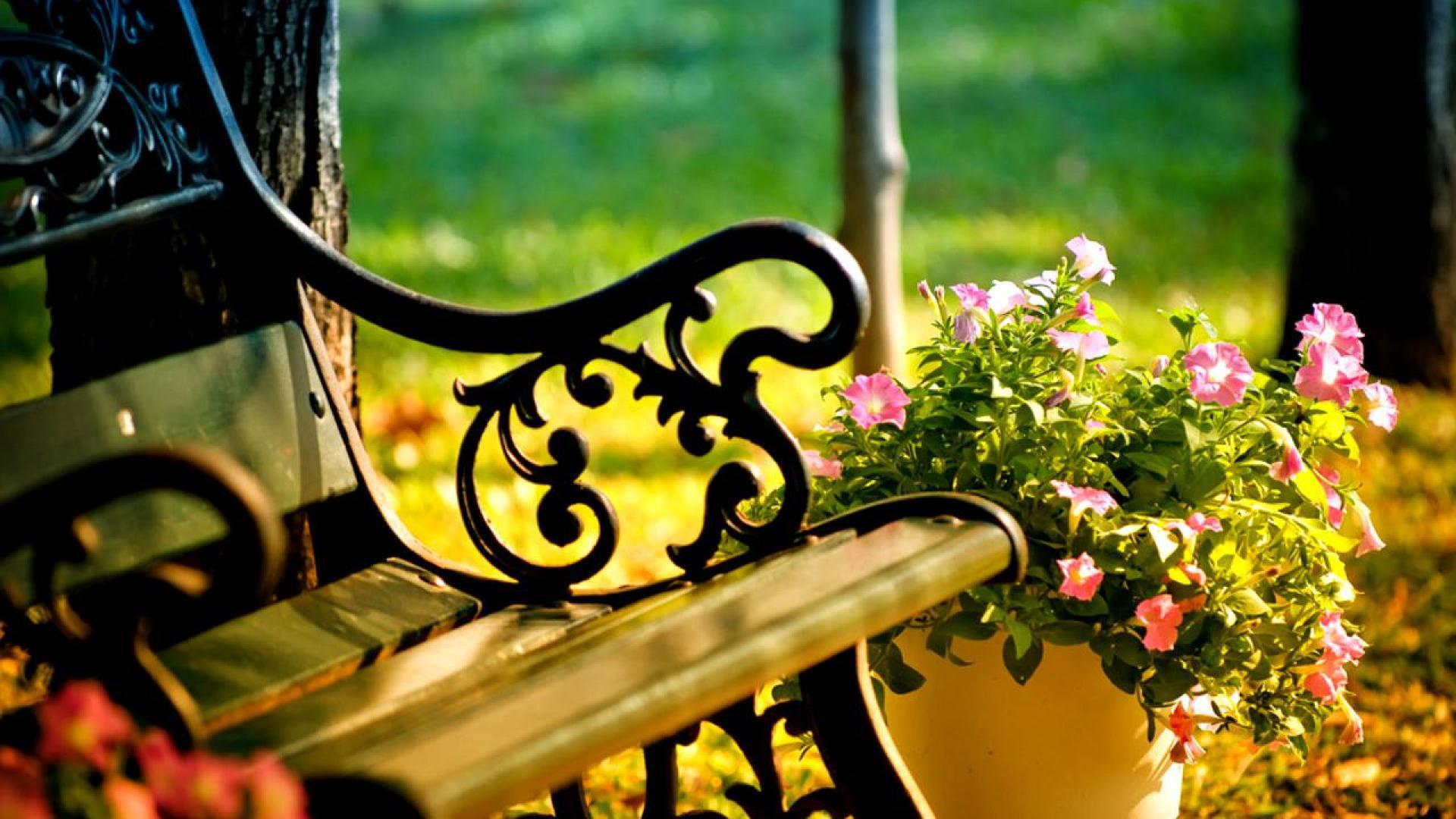 1920x1080 First Signs of Spring Wallpaper. Spring Wallpaper, Pretty Spring Wallpaper and Spring Floral Wallpaper