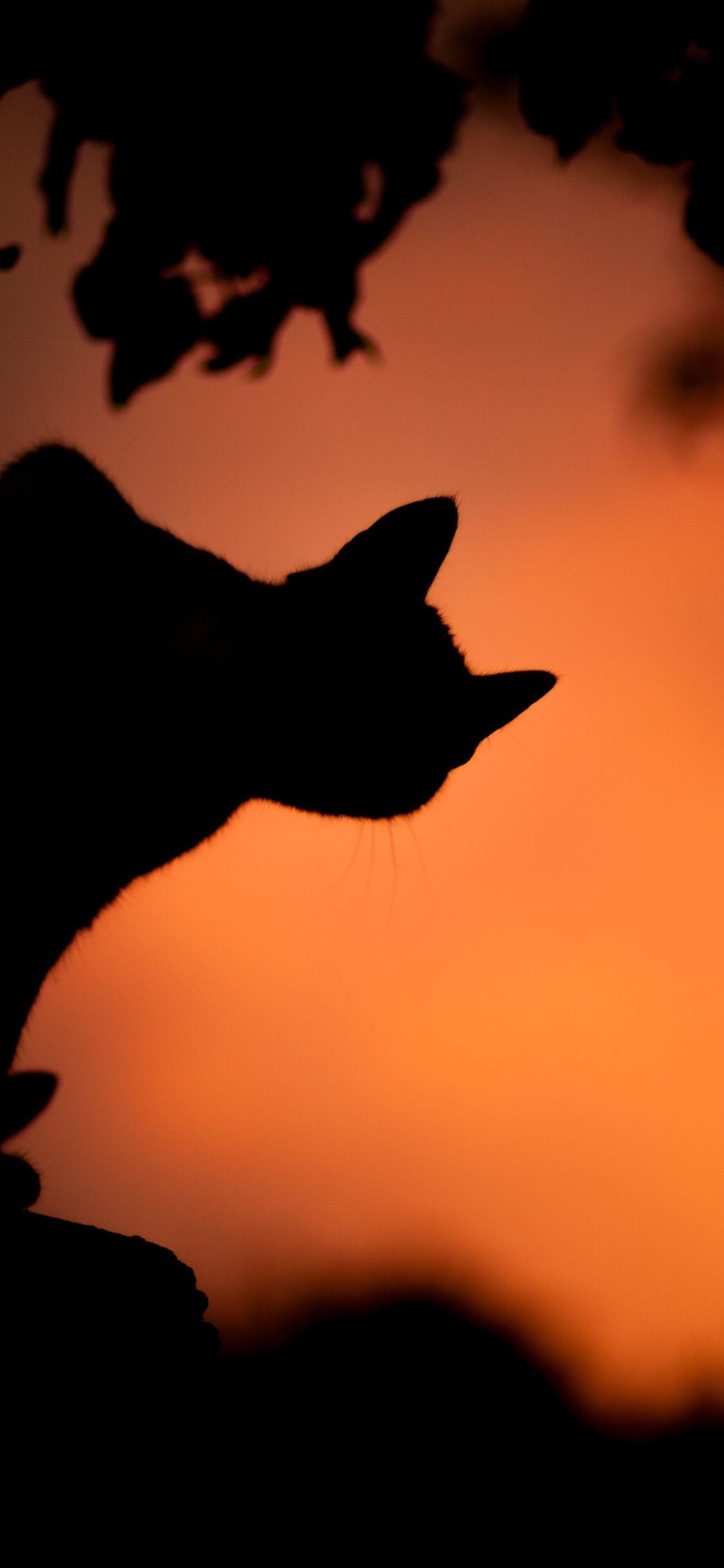 1125x2436 Minimal Halloween iPhone wallpaper pack