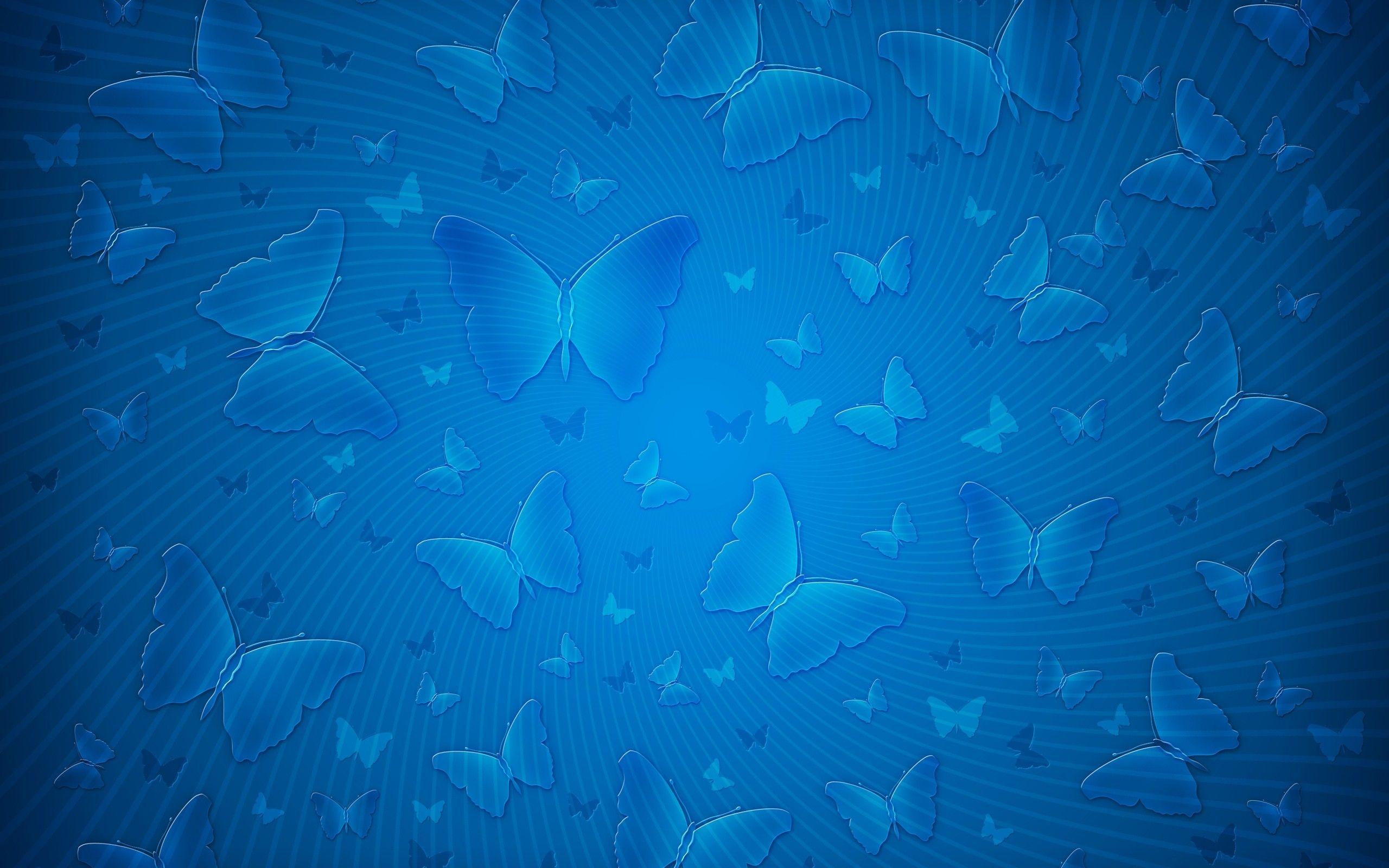 2560x1600 Plain Wallpaper HD A22 Desktop Wallpaperk HD