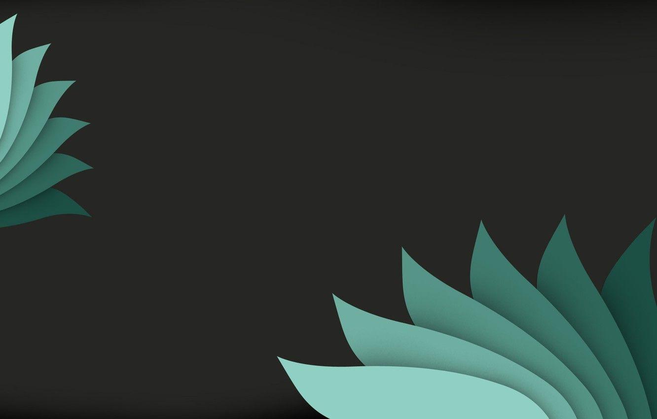 1332x850 Wallpaper leaves, the dark background, material design image for desktop, section минимализм