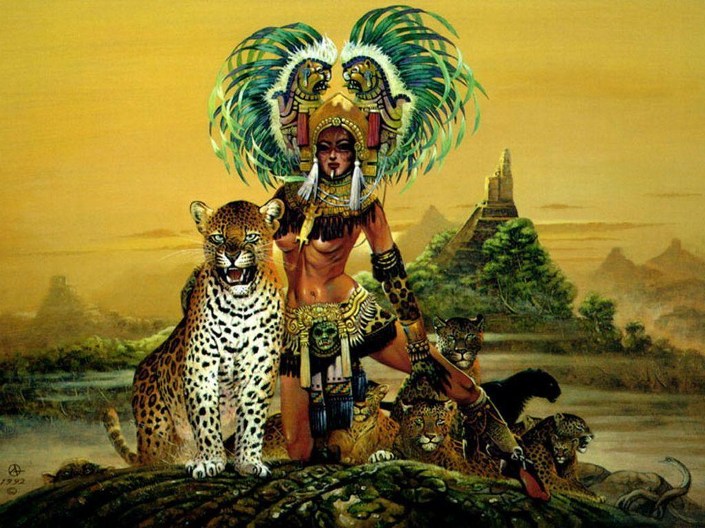 1024x768 Warriors Image and Photo