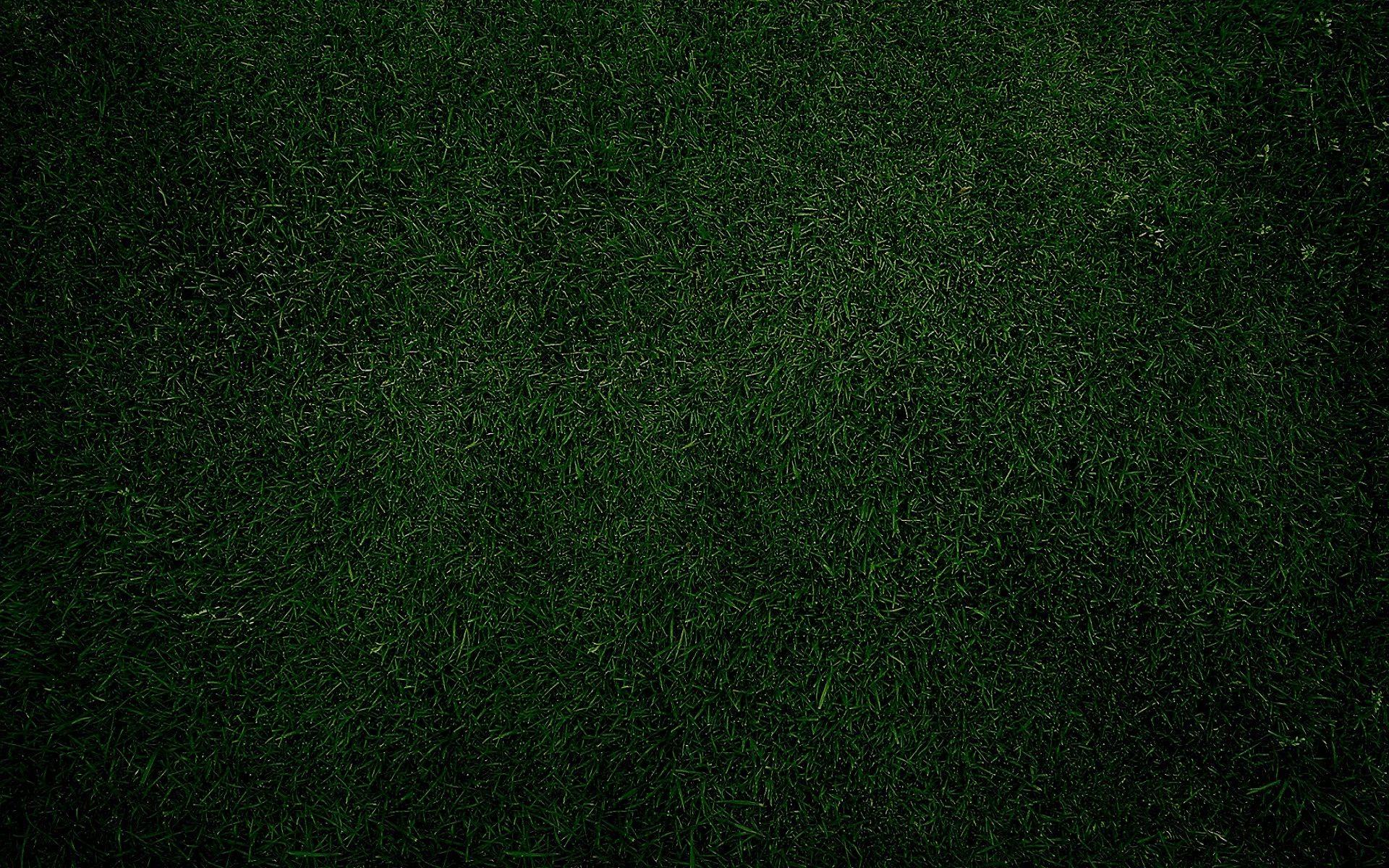 1920x1200 Free download Green grass plain desktop HD wallpaper HD Wallpaper Rocks [1920x1200] for your Desktop, Mobile & Tablet. Explore Plain Wallpaper for Computer. Free Plain Wallpaper, Plain HD Wallpaper