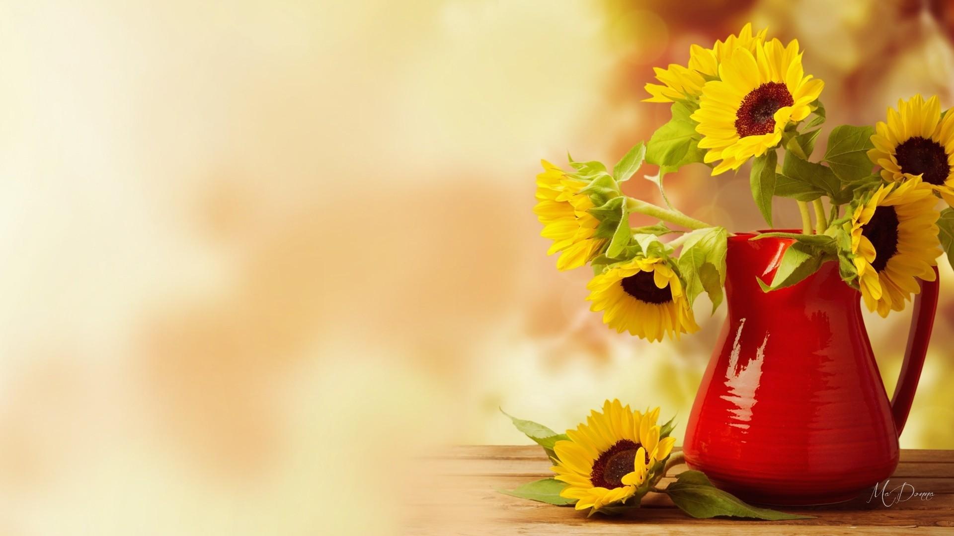 1920x1080 Desktop Wallpaper Beautiful Fall Flowers