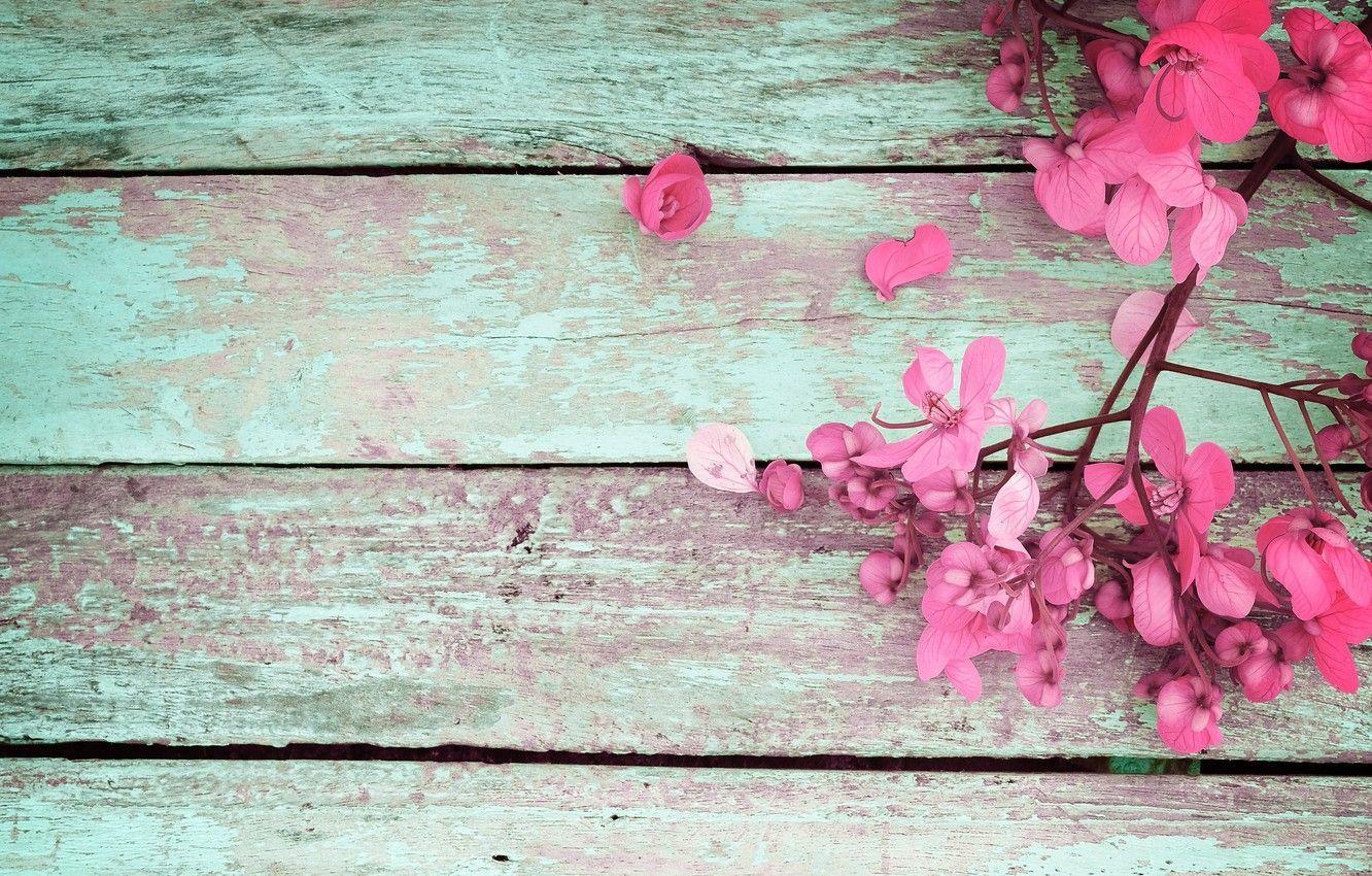 1332x850 Spring Flowers On Wood Wallpaper