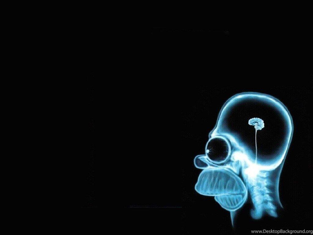 1024x768 Wallpaper Strange Funny Weird Crazy Absurd Awesome 632 1920 X. Desktop Background