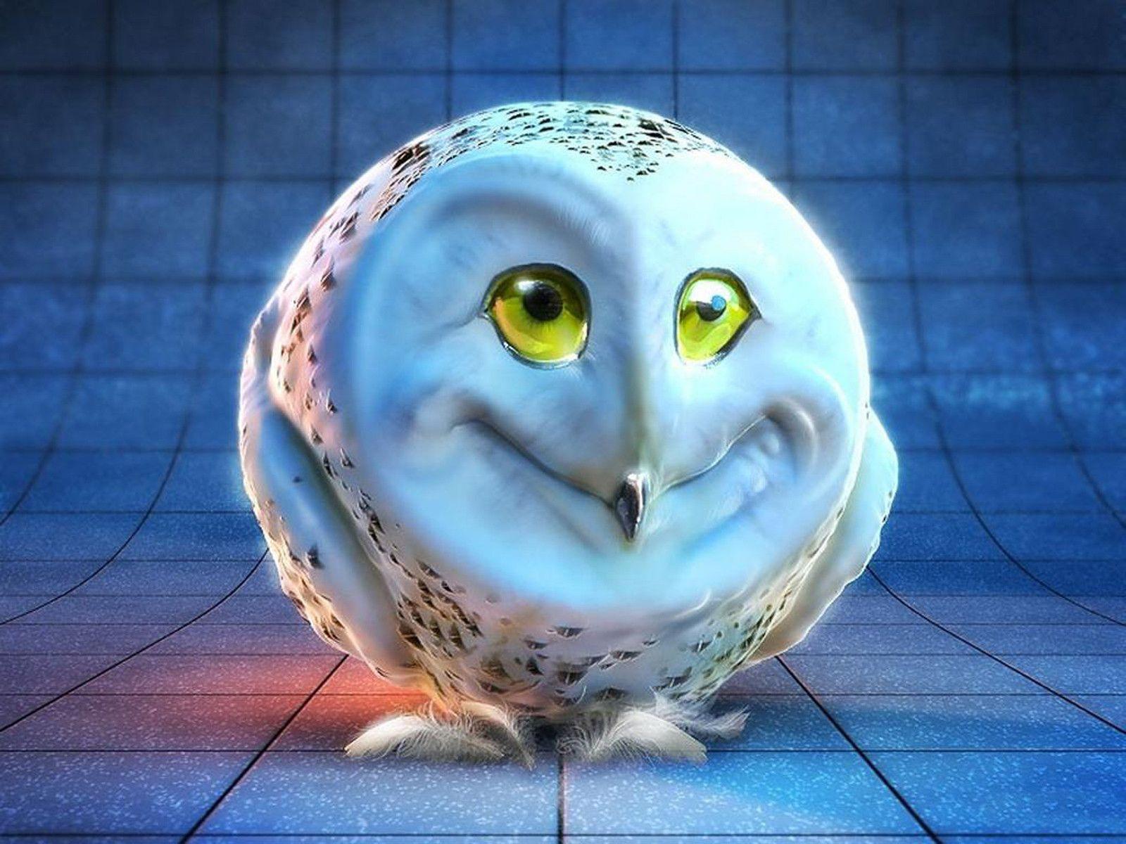 1600x1200 Weird Desktop Background