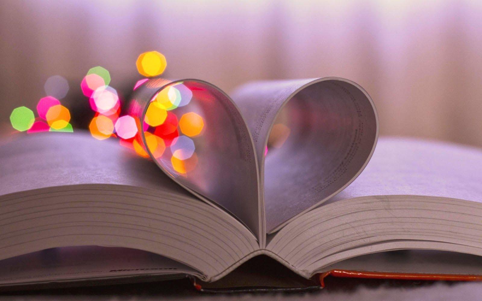 1600x1000 Book Lovers Wallpaper