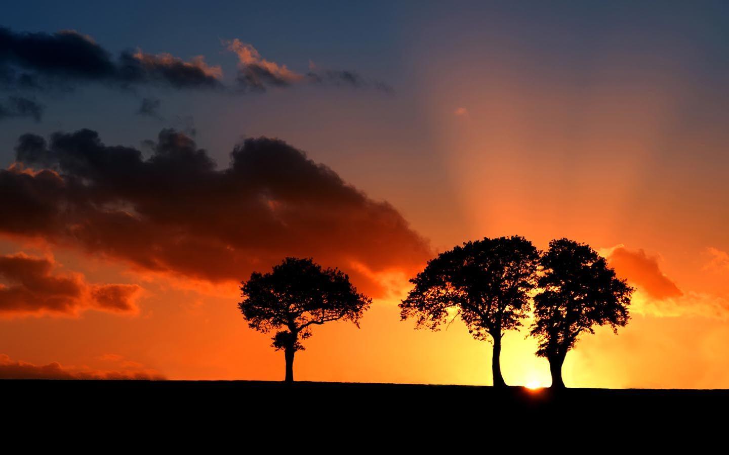 1440x900 Savanna Background. African Savanna Wallpaper, Savanna Charcoal Wallpaper and Savanna Background