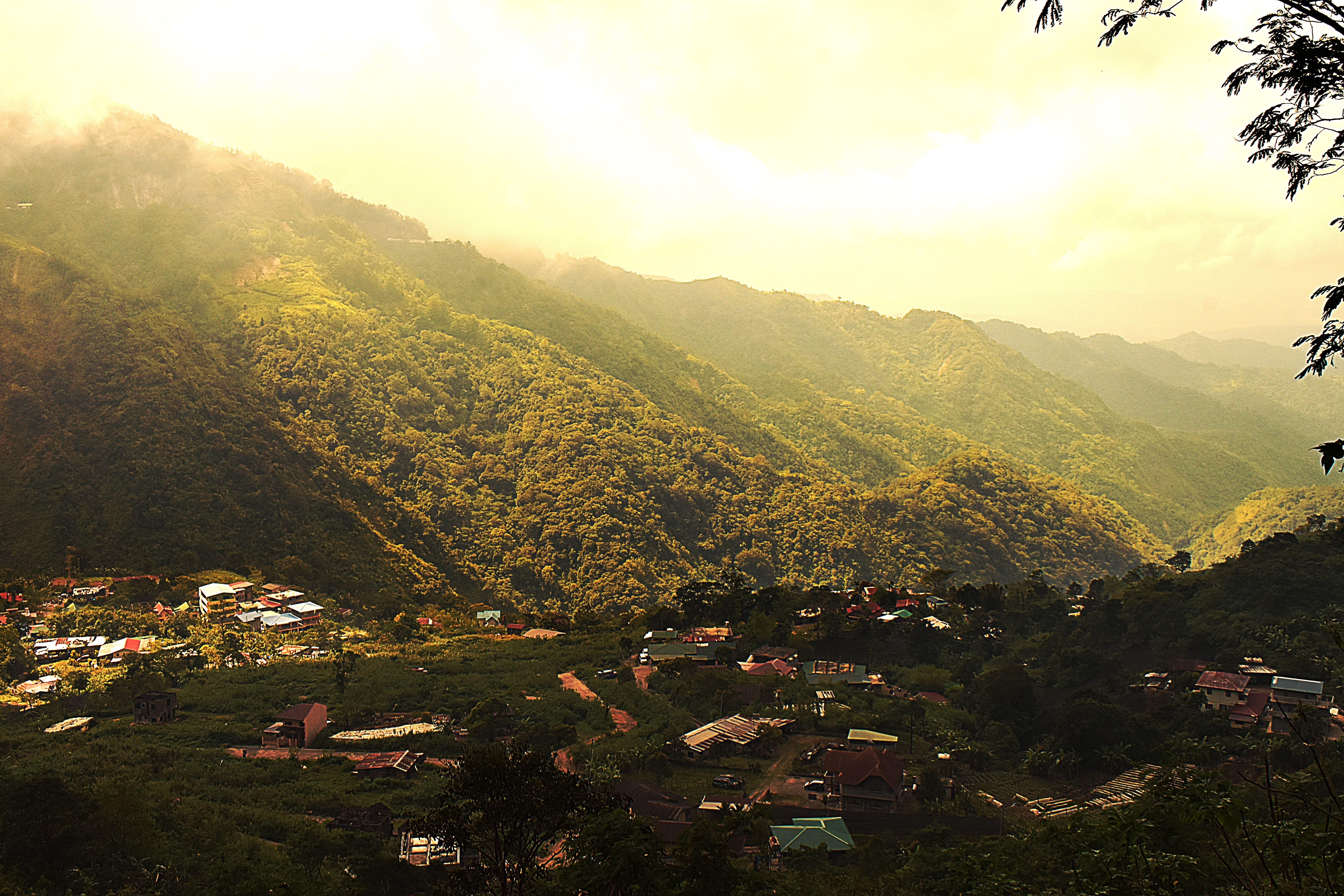 6000x4000 Free of Baguio, mountain, Philippines