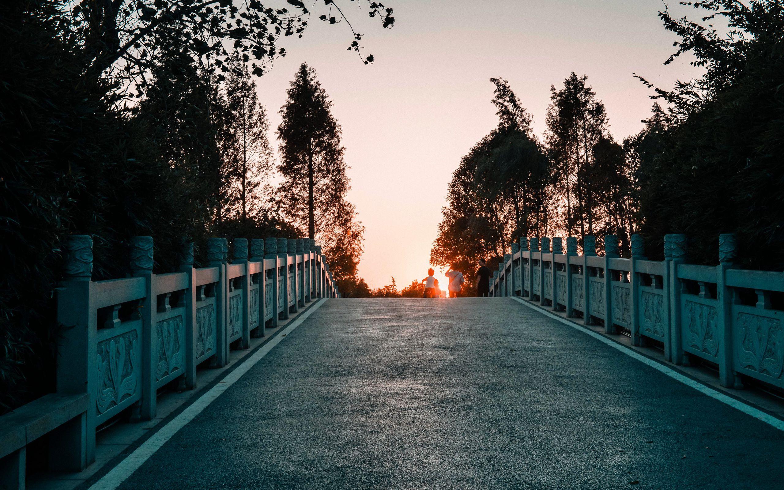 2560x1600 Download wallpaper 2560x1600 bridge, road, asphalt, sunset, dusk widescreen 16:10 HD background