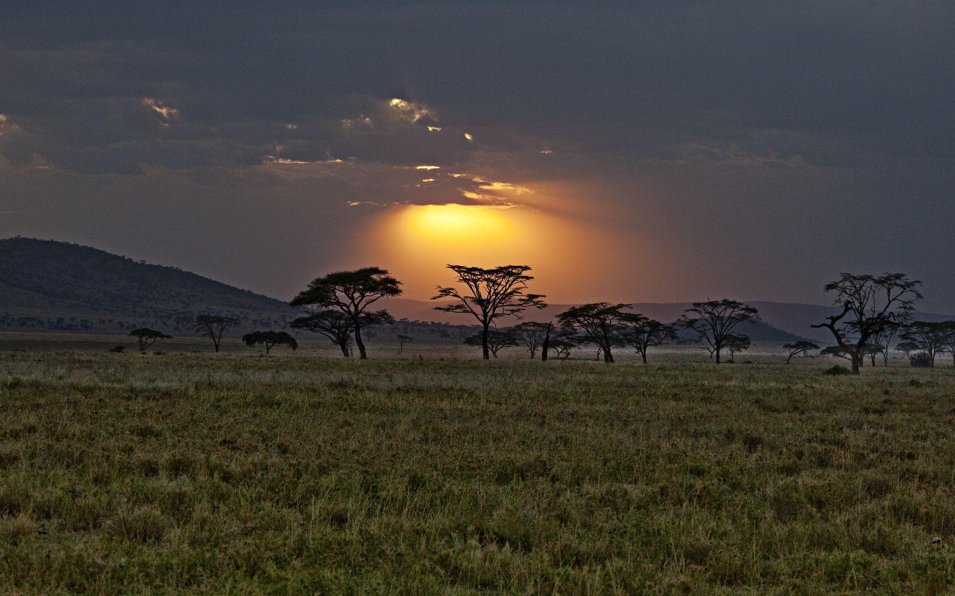 1920x1200 Sunset Africa savanna landscapes sky beams rays trees wallpaperx1200