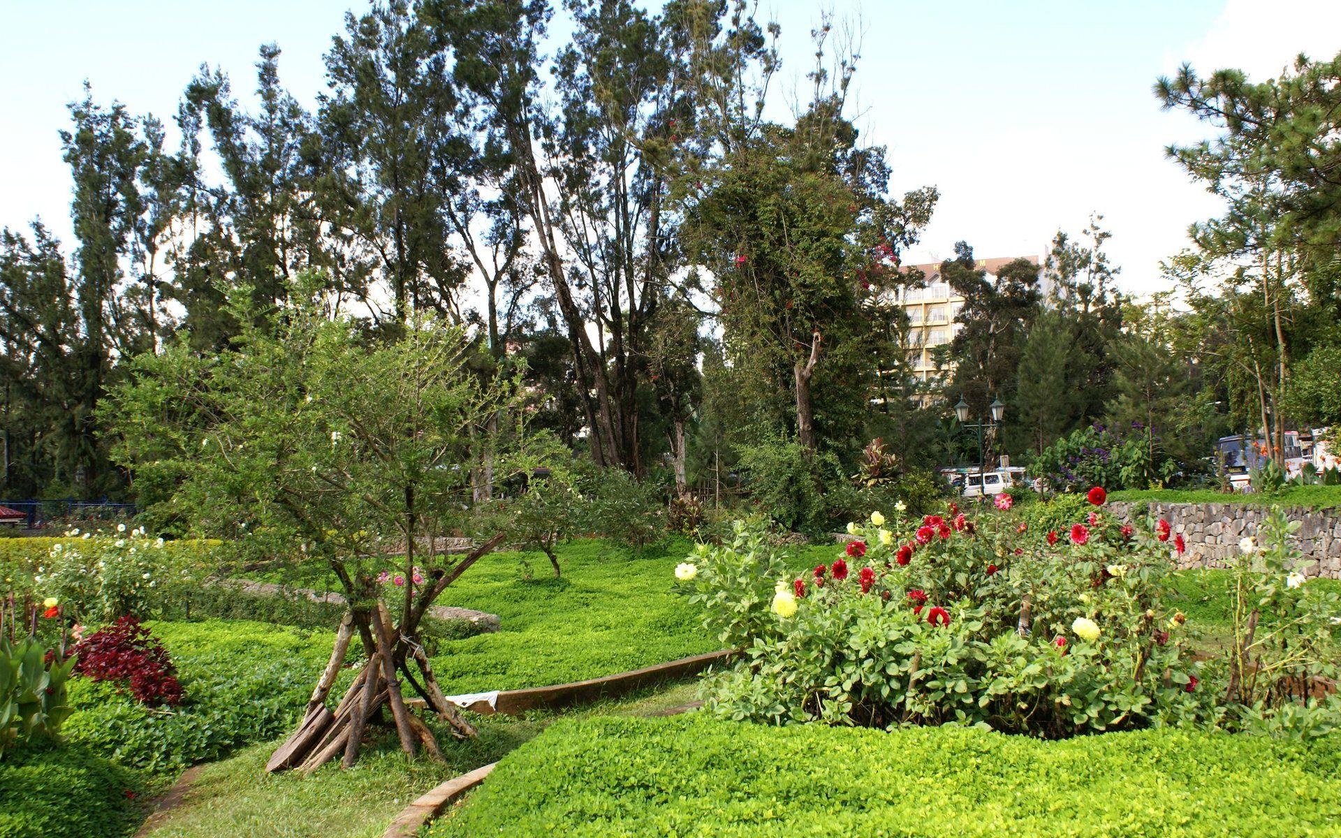 1920x1200 Flower park widescreen wallpaper: Burnham Park flower wallpaper