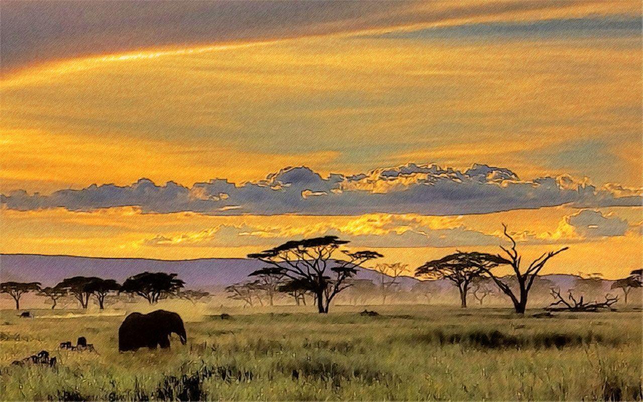 1280x800 African Landscape Wallpaper