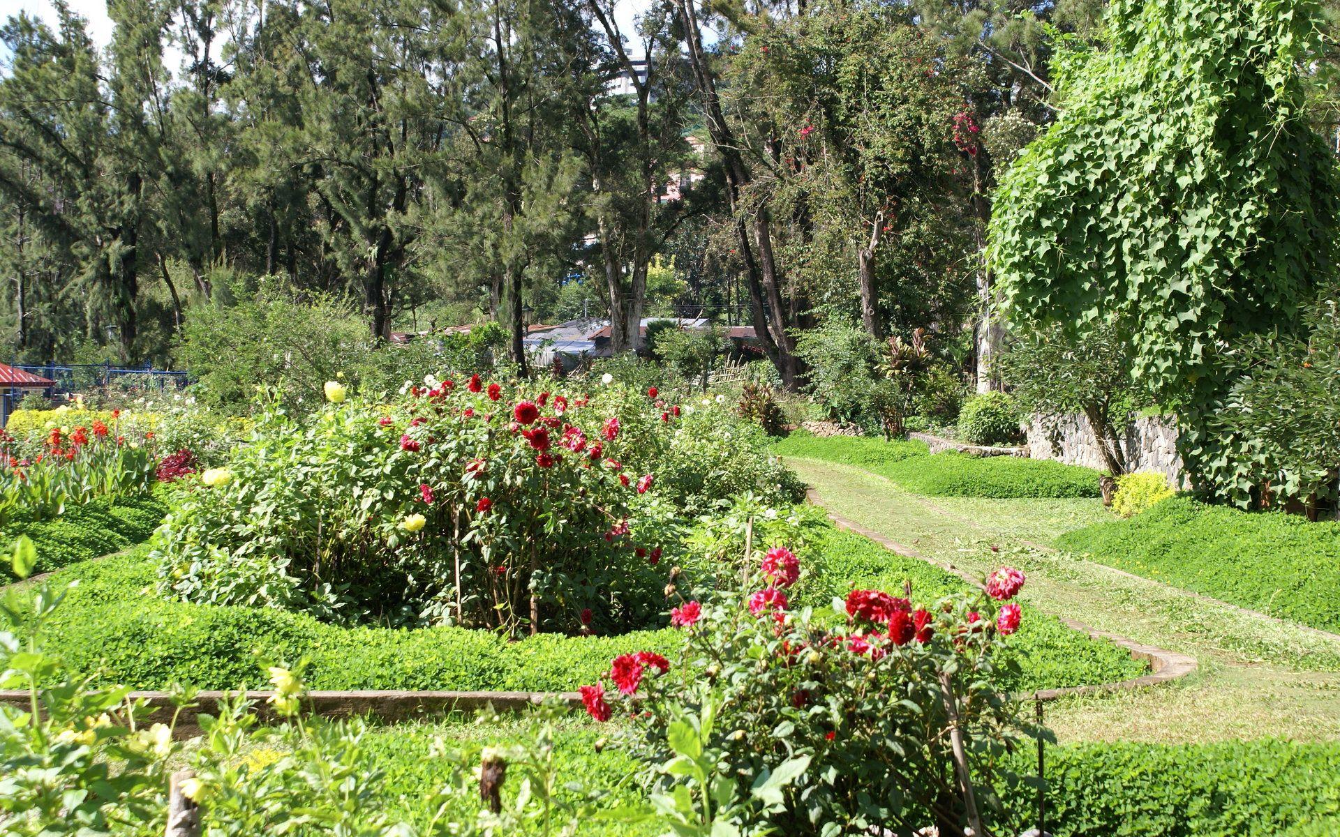 1920x1200 Flower park widescreen wallpaper: Burnham Park flower wallpaper