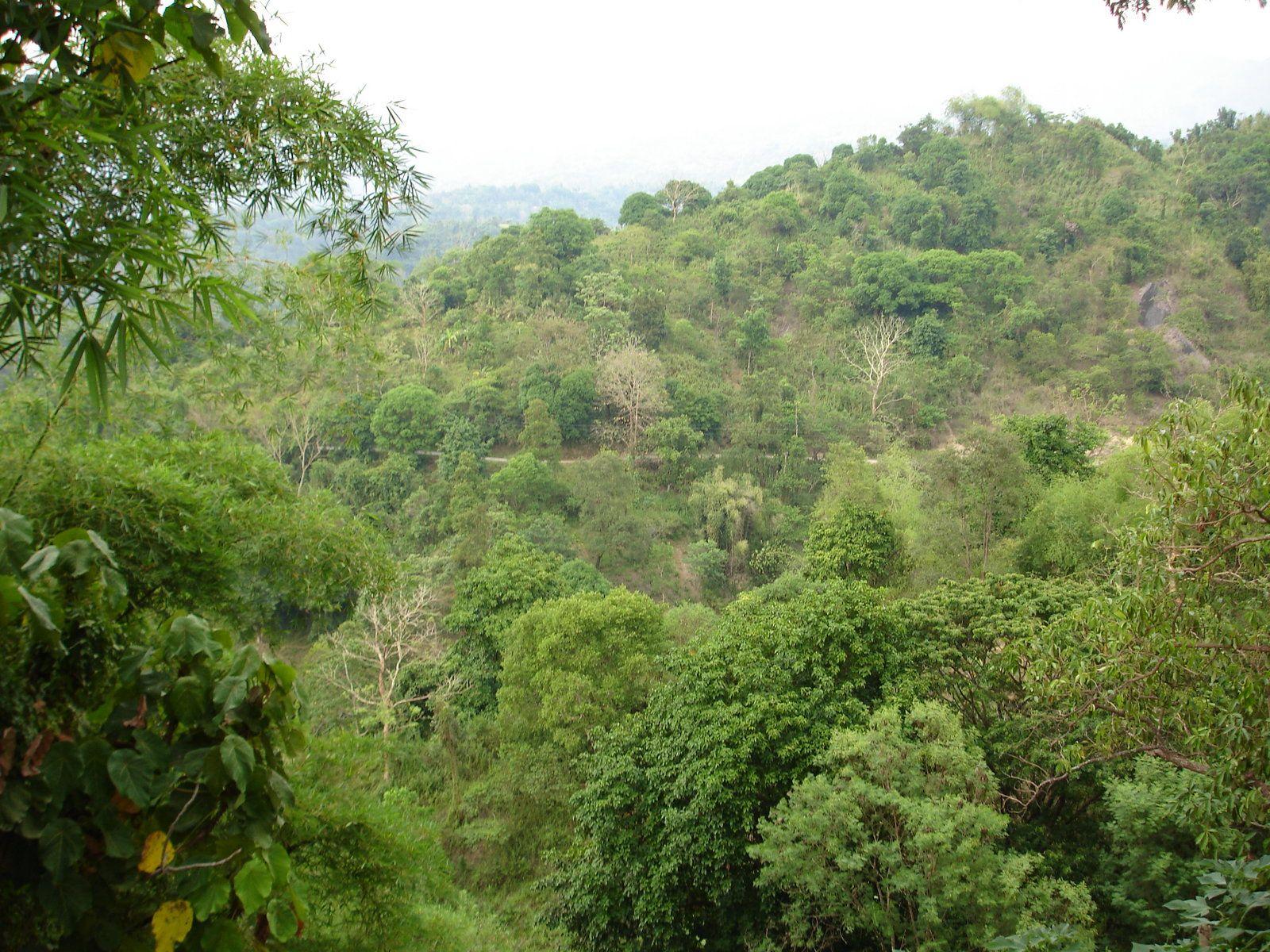 1600x1200 Free download Scenery Wallpaper Tropical Mountain Scenery Baguio City To La Union [1600x1200] for your Desktop, Mobile & Tablet. Explore Louisiana Scenery Wallpaper. Louisiana Scenery Wallpaper, Louisiana Wallpaper, Louisiana Wallpaper