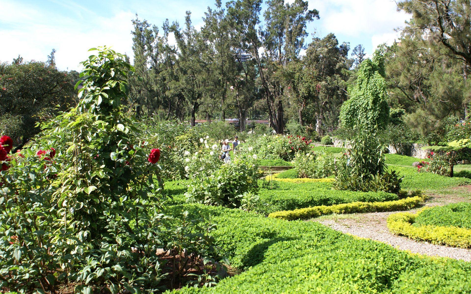 1920x1200 Flower park widescreen wallpaper: Burnham Park flower wallpaper