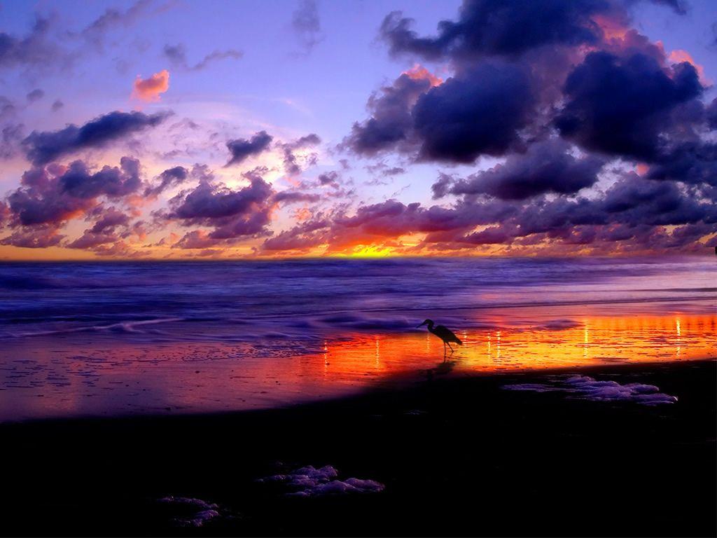 1024x768 Desktop Wallpaper