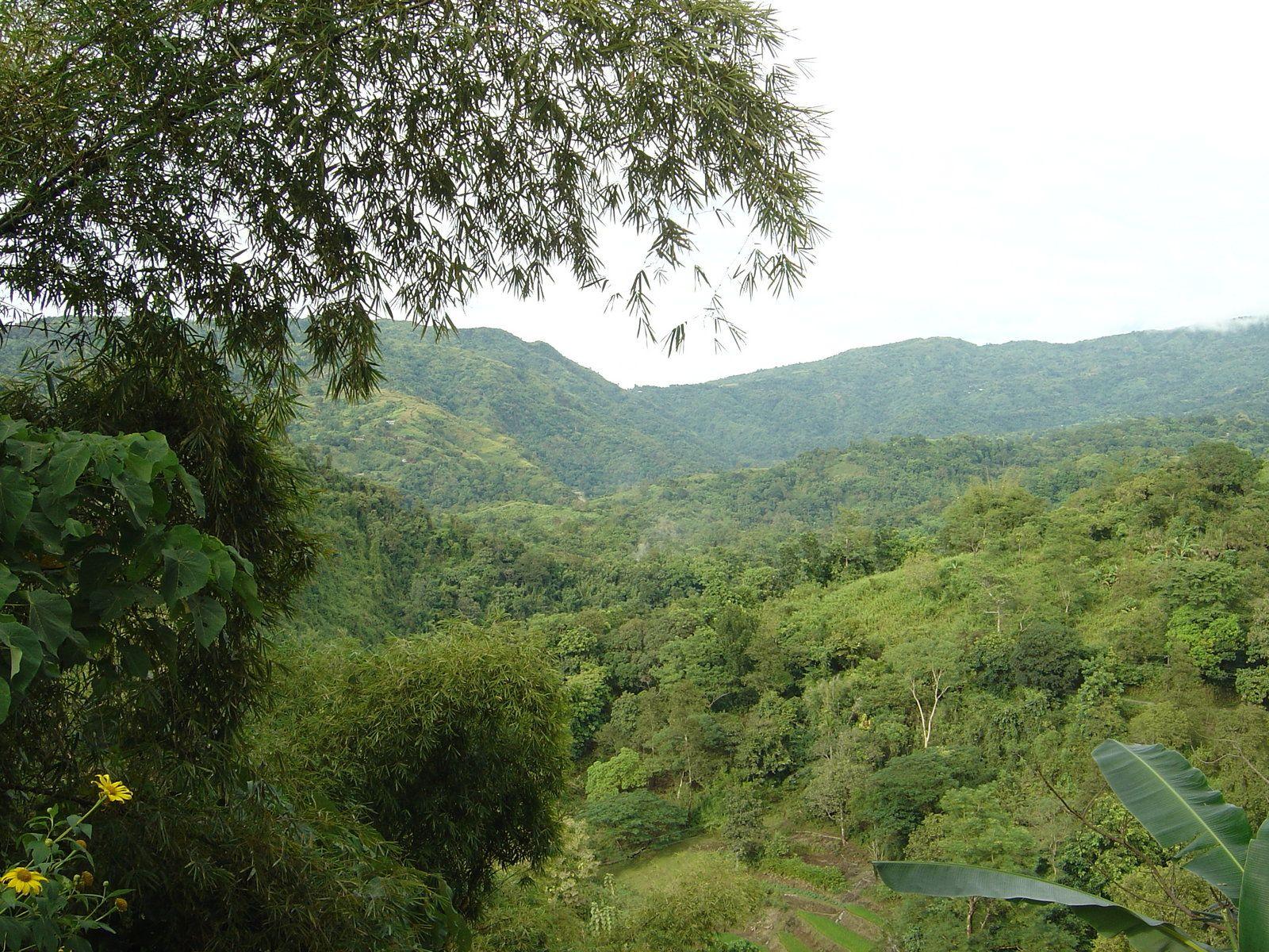 1600x1200 Mountain scenery picture: Wallpaper tropical mountains Philippines