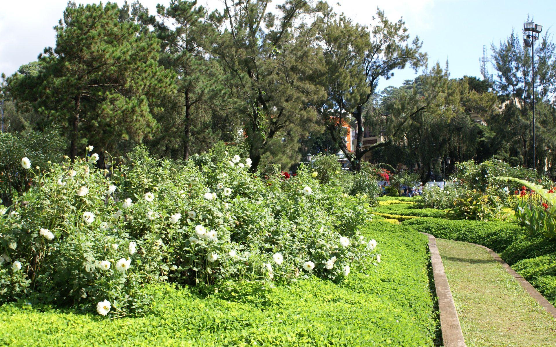 1920x1200 Flower park widescreen wallpaper: Burnham Park flower wallpaper