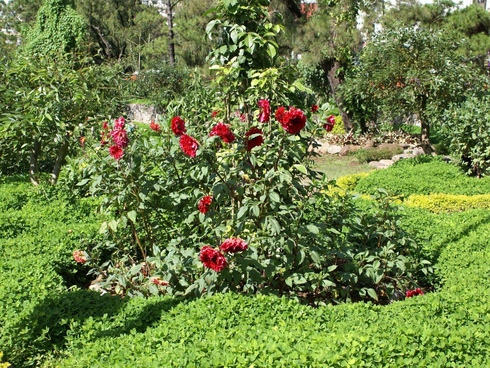1600x1200 Baguio Wallpaper. Baguio Wallpaper