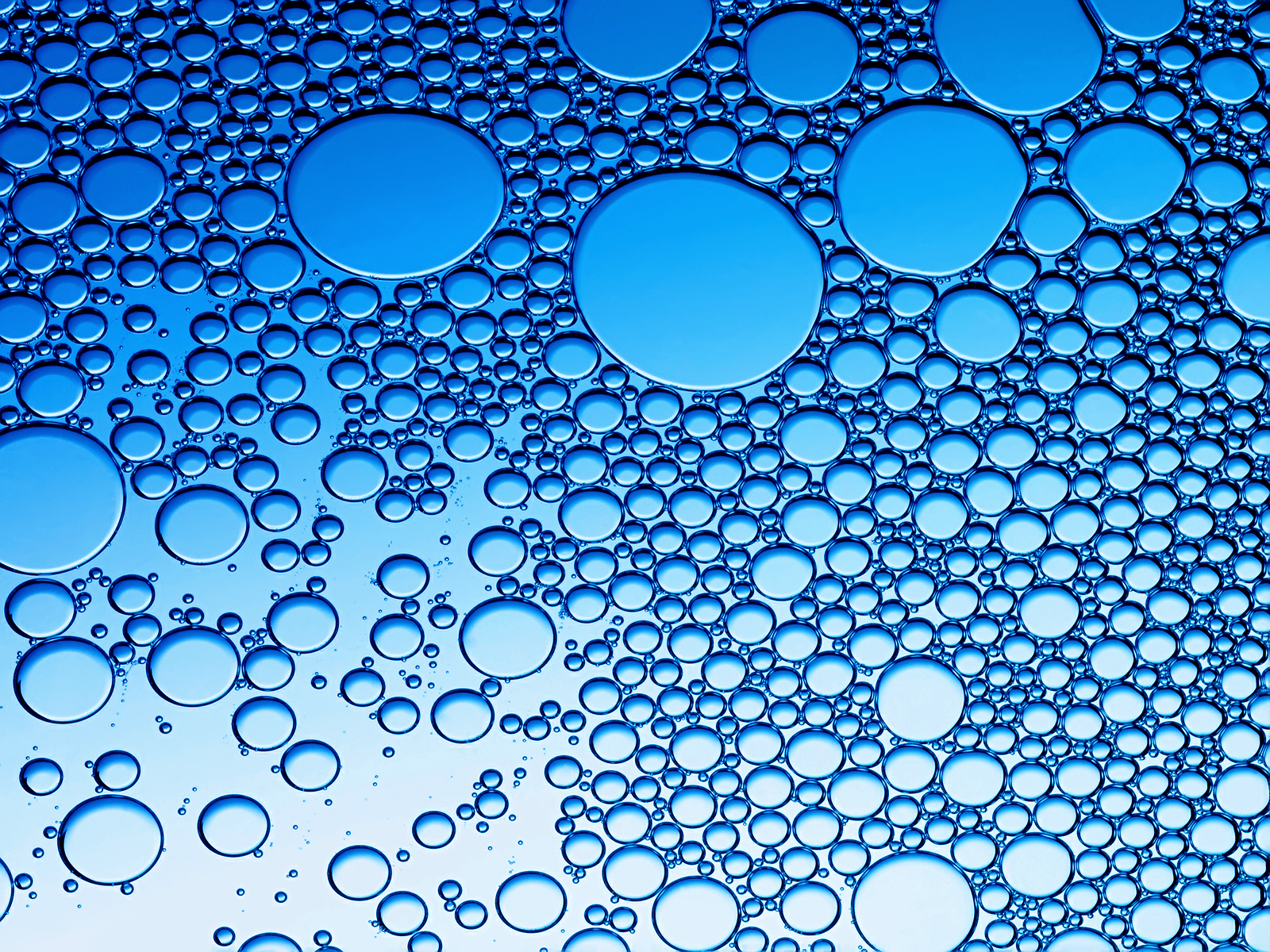 1600x1200 Blue Water Bubbles wallpaper