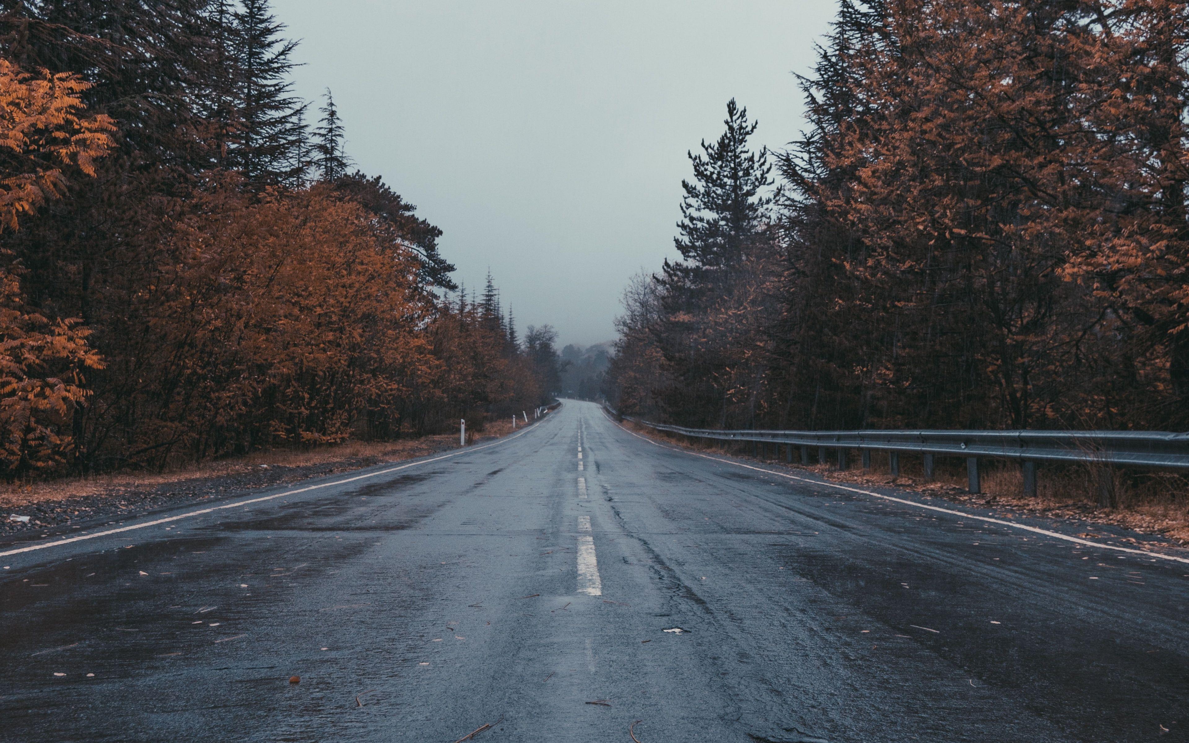 Rainy Road Wallpaper