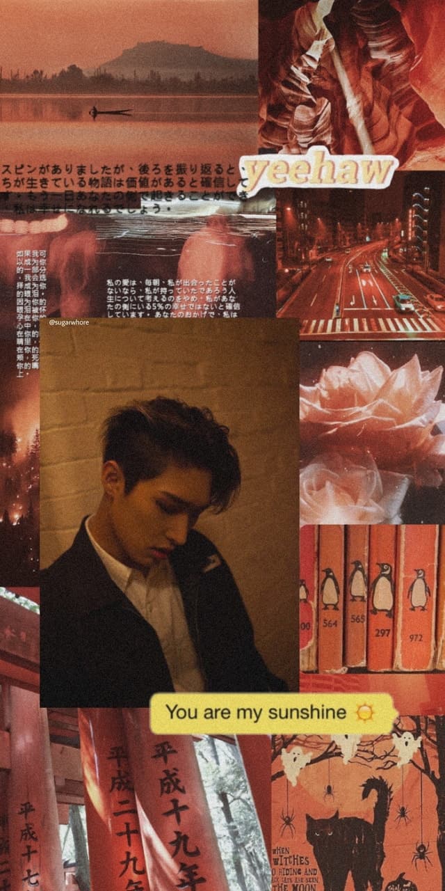 640x1280 Mingi Wallpaper