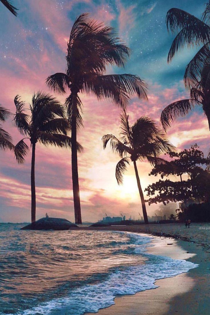 736x1104 East Coast Park Beach #miami #florida #miamibeach #sobe #southbeach #brickell #florida. Beach wallpaper, Nature photography, Sky aesthetic