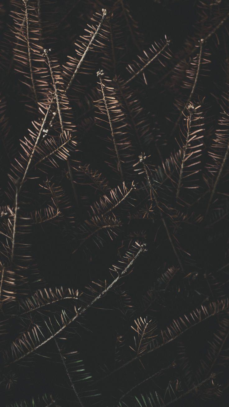736x1308 Gorgeous Happy Fall iPhone X Wallpaper. Preppy Wallpaper. iPhone wallpaper fall, Fall wallpaper, Rose gold wallpaper