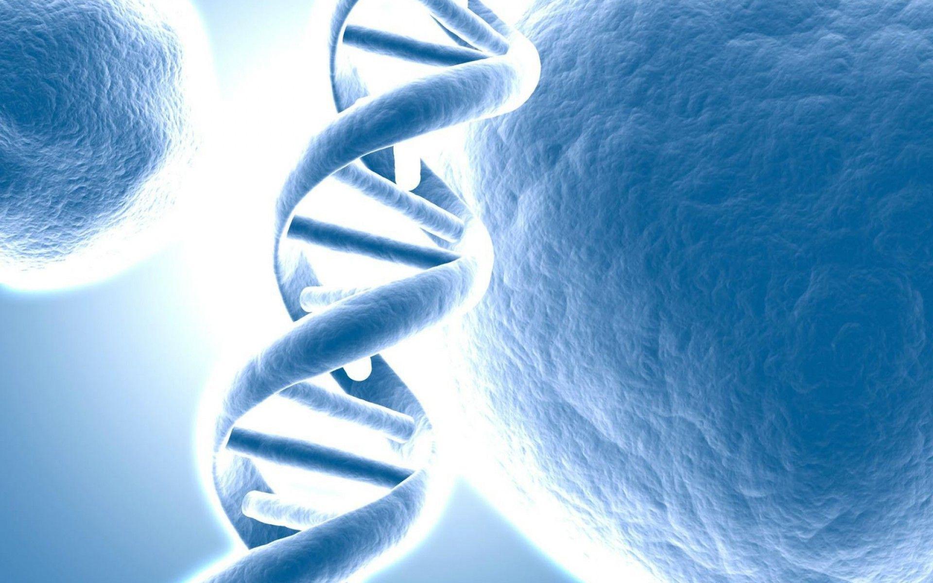 1920x1200 DNA Structure Wallpaper