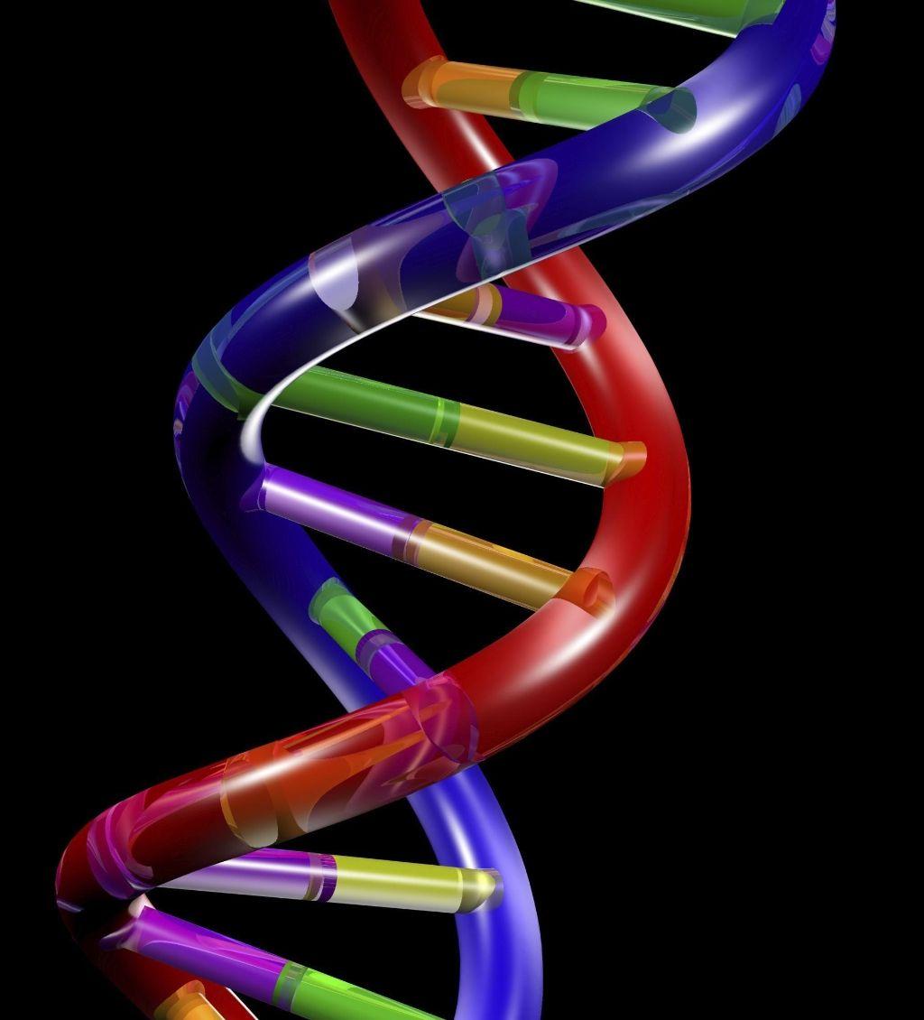 1024x1130 Free download Related Picture dna double helix model on black background 3D render [1024x1130] for your Desktop, Mobile & Tablet. Explore DNA Double Helix Wallpaper. DNA Double Helix Wallpaper