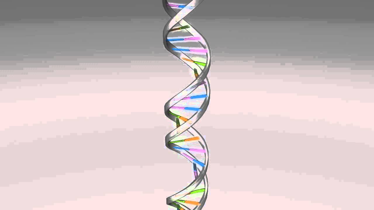 1280x720 DNA Animated Wallpaper