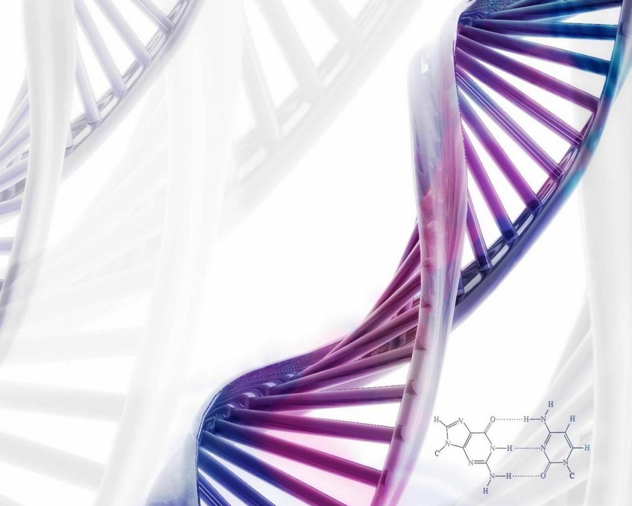1280x1024 DNA Structure Wallpaper HD Download
