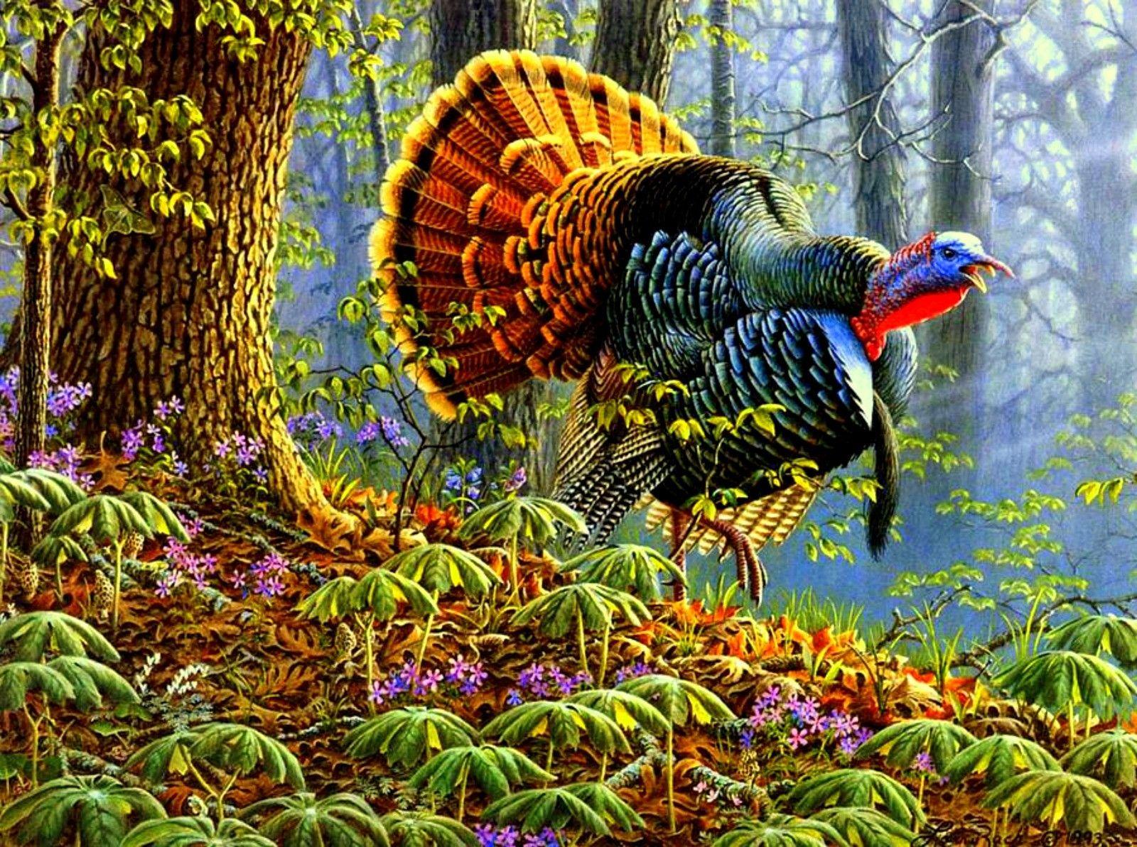 1600x1193 Other Woodland Inhabitant Flowers Bird Woods Forest Ground Cover