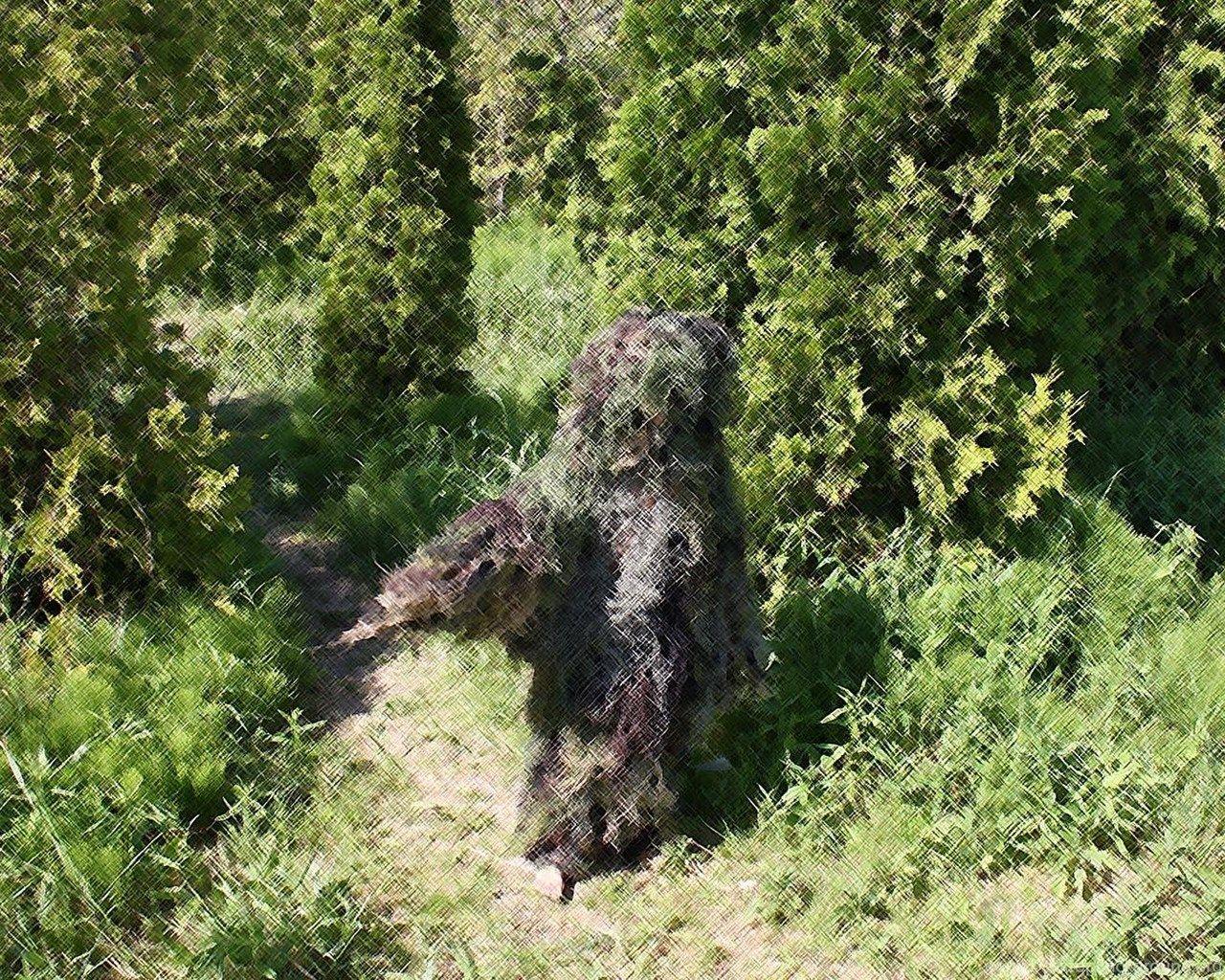 Ghillie Suit Wallpapers - Top Free Ghillie Suit Backgrounds