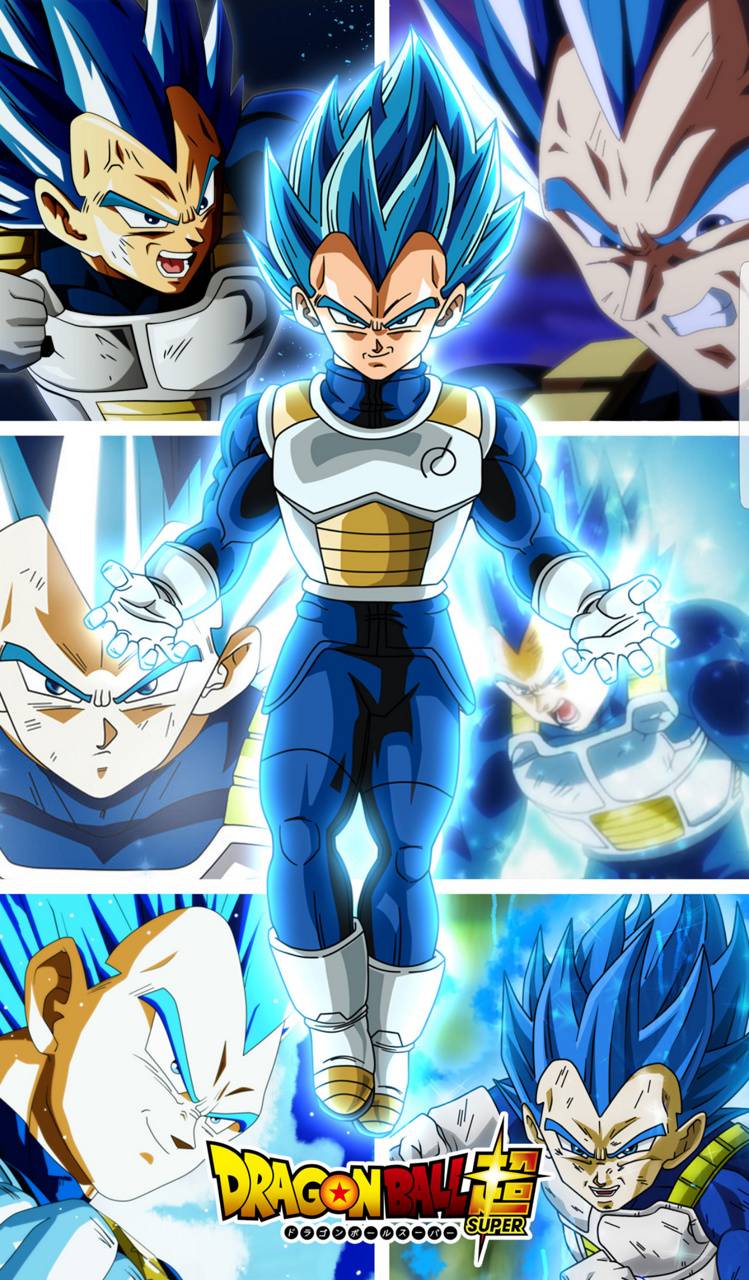 749x1280 Vegeta ssj blue wallpaper