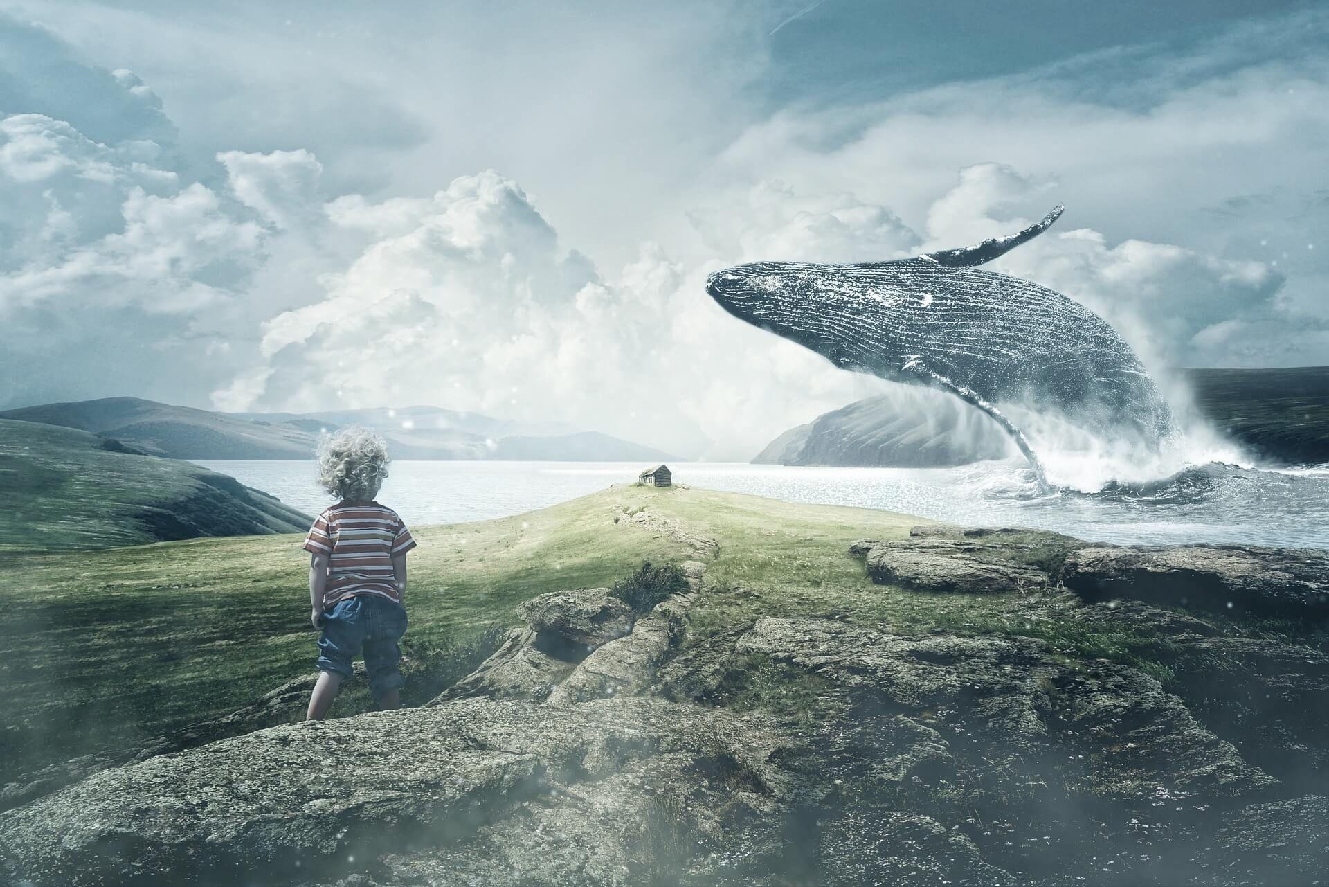 1920x1281 How to Use Image Prompts & Image to Inspire. Imagine Forest. Whale art print, Whale art, Whale