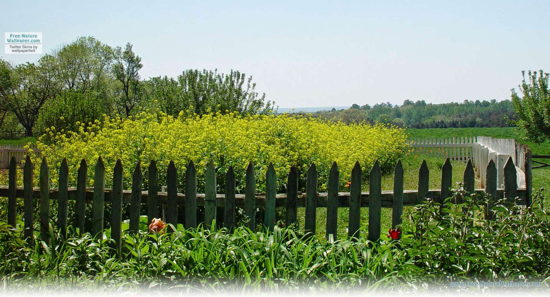 1920x1040 Country Garden Wallpaper 19 Home Ideas