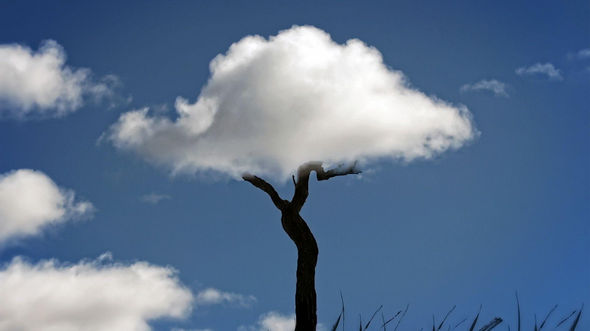 1920x1080 Wallpaper Cotton candy, feet, blue sky 1920x1200 HD Picture, Image