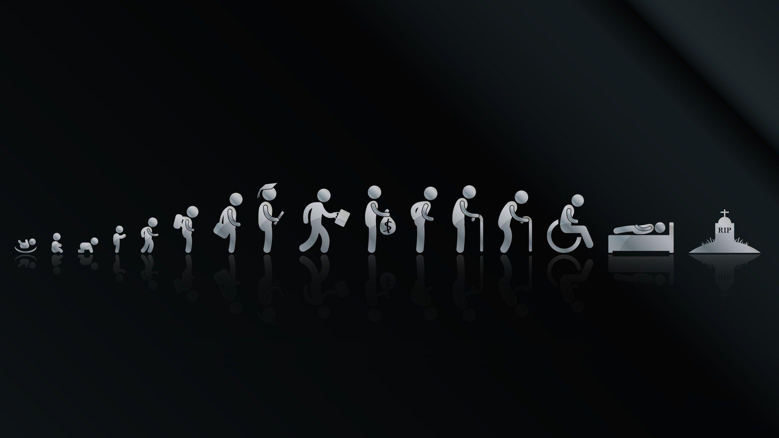 2560x1440 Life Cycle Minimalism 1440P Resolution HD 4k Wallpaper, Image, Background, Photo and Picture