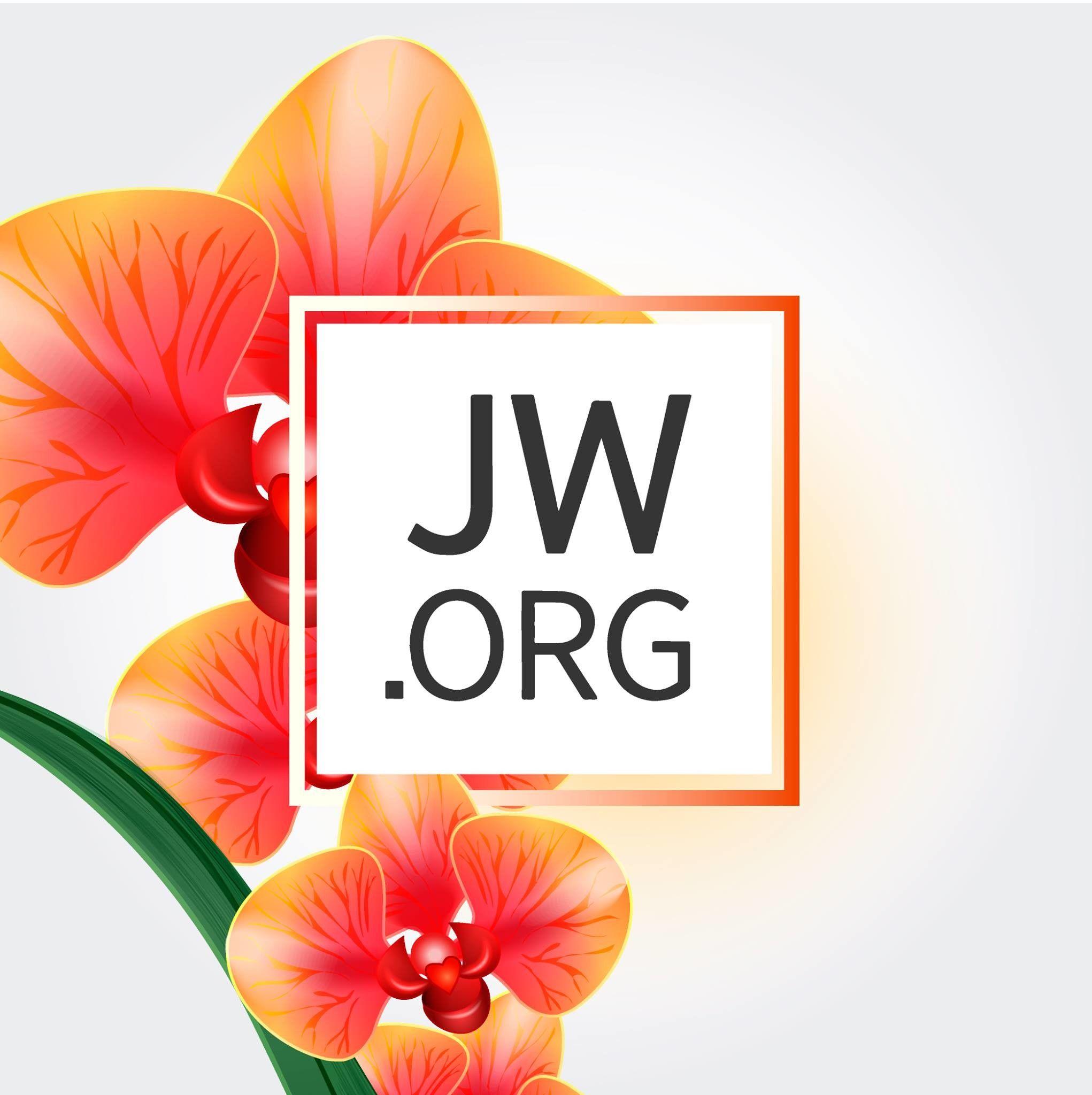 2042x2048 Jw Covers Org Sticker HD Wallpaper