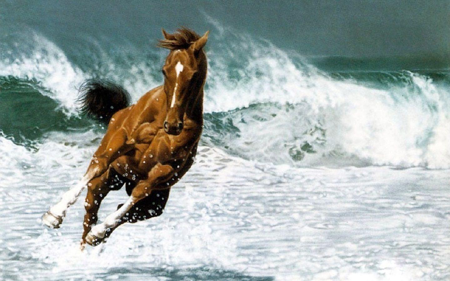 1440x900 Free download Horse sprint at ocean beach wide HD wallpaper HD Wallpaper Rocks [1440x900] for your Desktop, Mobile & Tablet. Explore Horses on Beach Wallpaper. Horse Wallpaper For Computer
