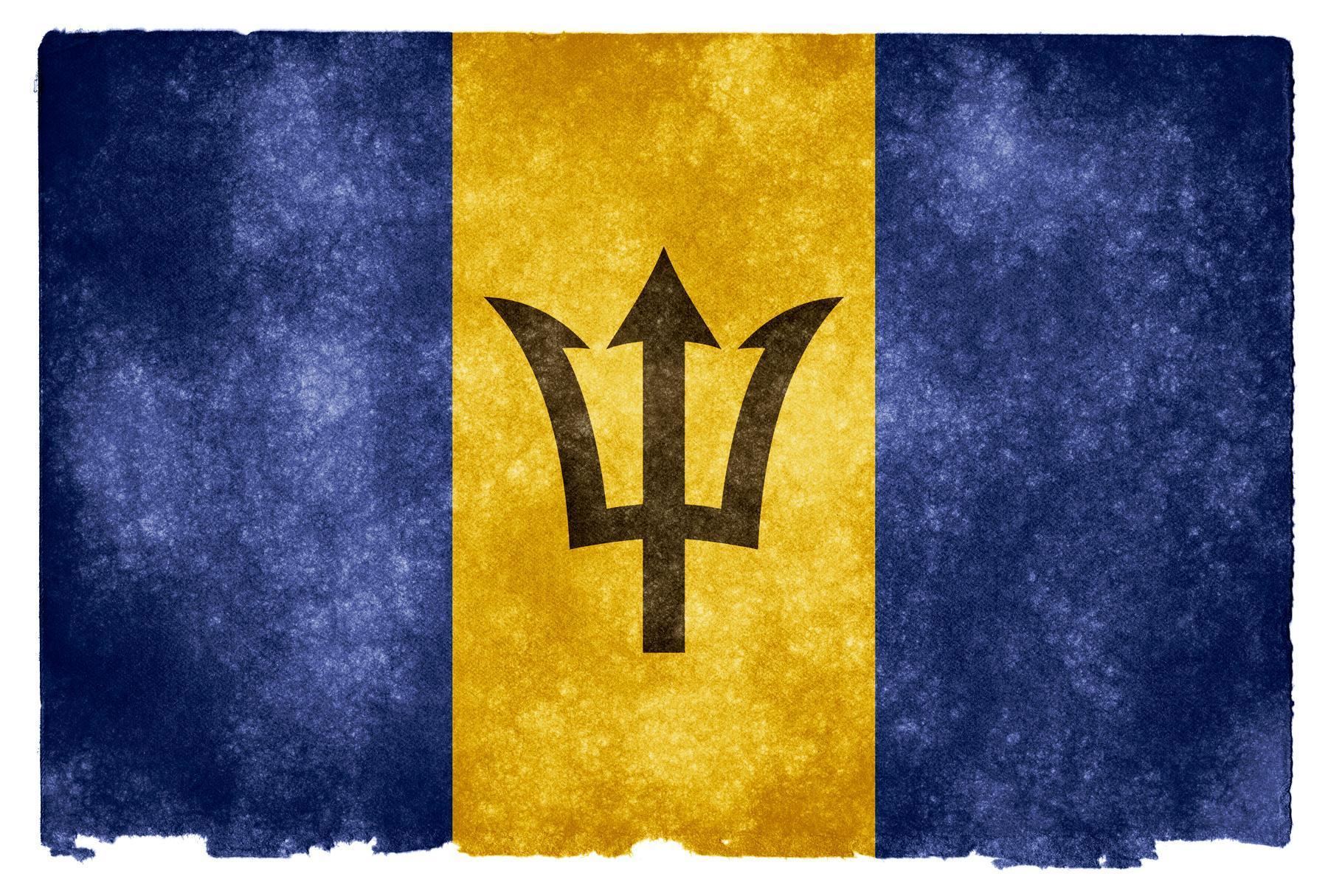 Барбадос флаг. Флаг Барбадоса. Флаг Нептуна. Флаг империи Барбадос. Придуманные флаги.