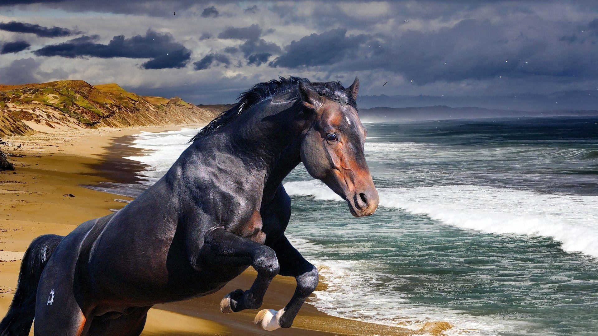 1920x1080 Download wallpaper 1920x1080 horse, beach, sea, wave HD background