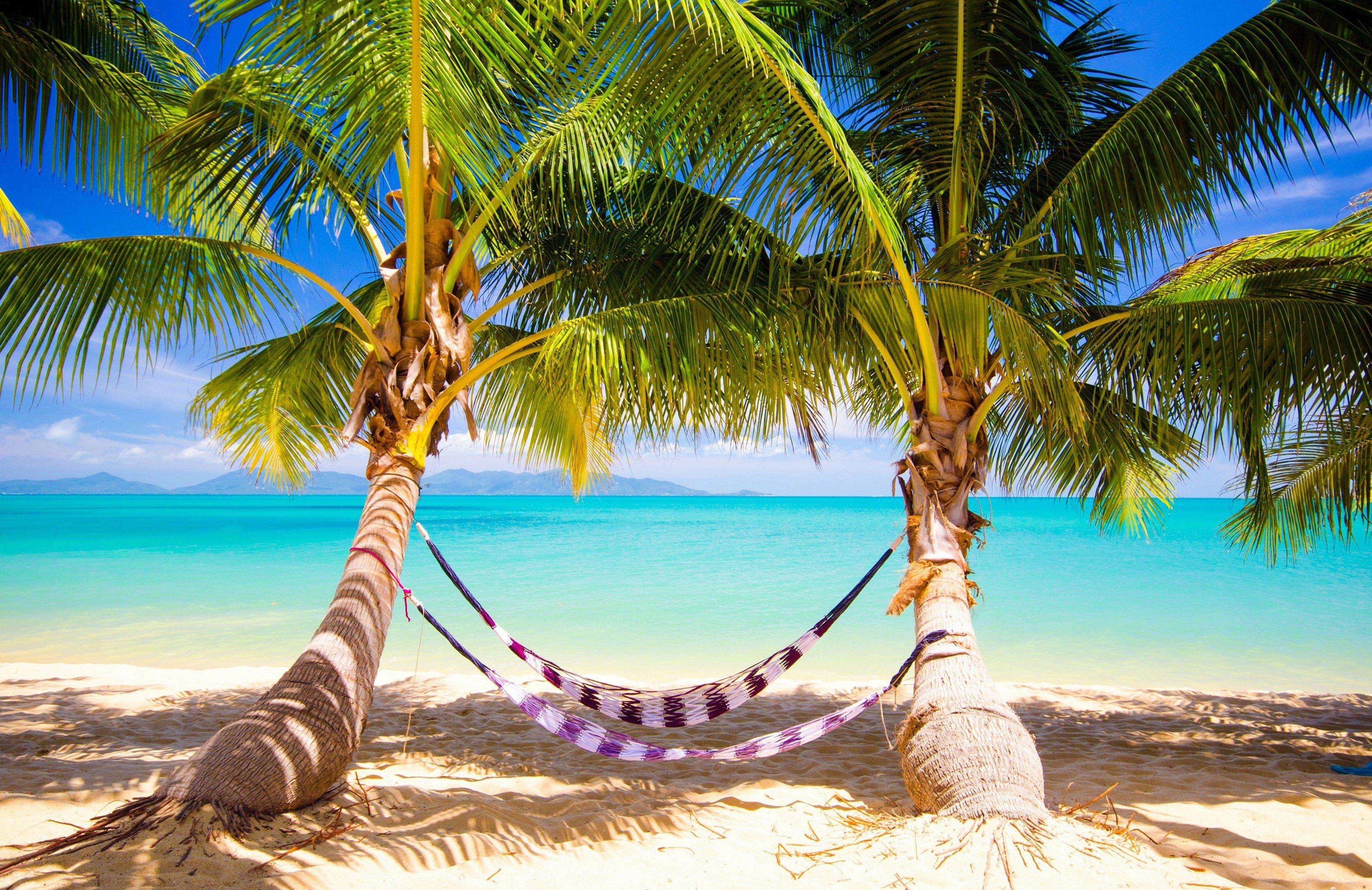 3930x2550 tropical, Sea, Paradise, Summer, Sunshine, Palms, Beach, Ocean Wallpaper HD / Desktop and Mobile Background