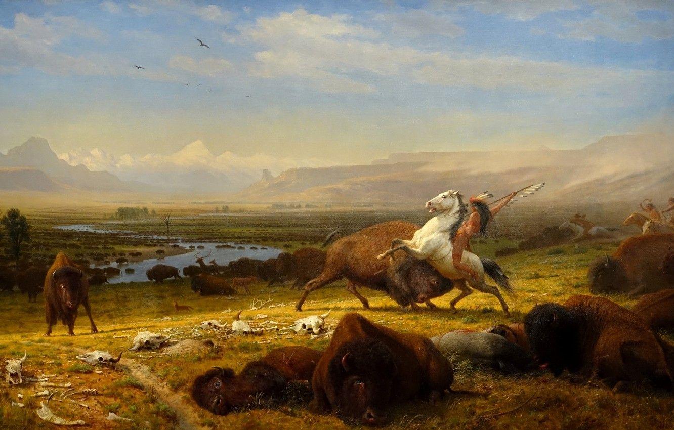 1332x850 Wallpaper picture, Albert Bierstadt, The Last of the Buffalo image for desktop, section живопись