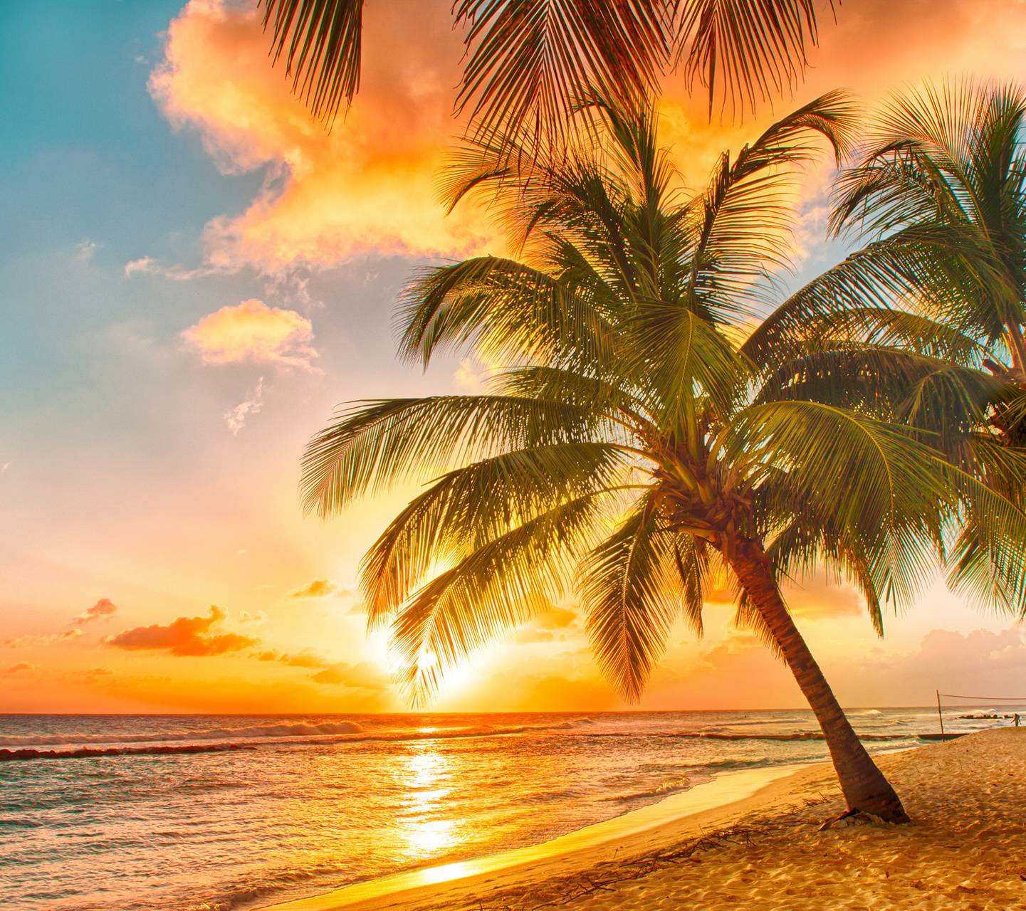 1441x1280 Paradise Beach wallpaper