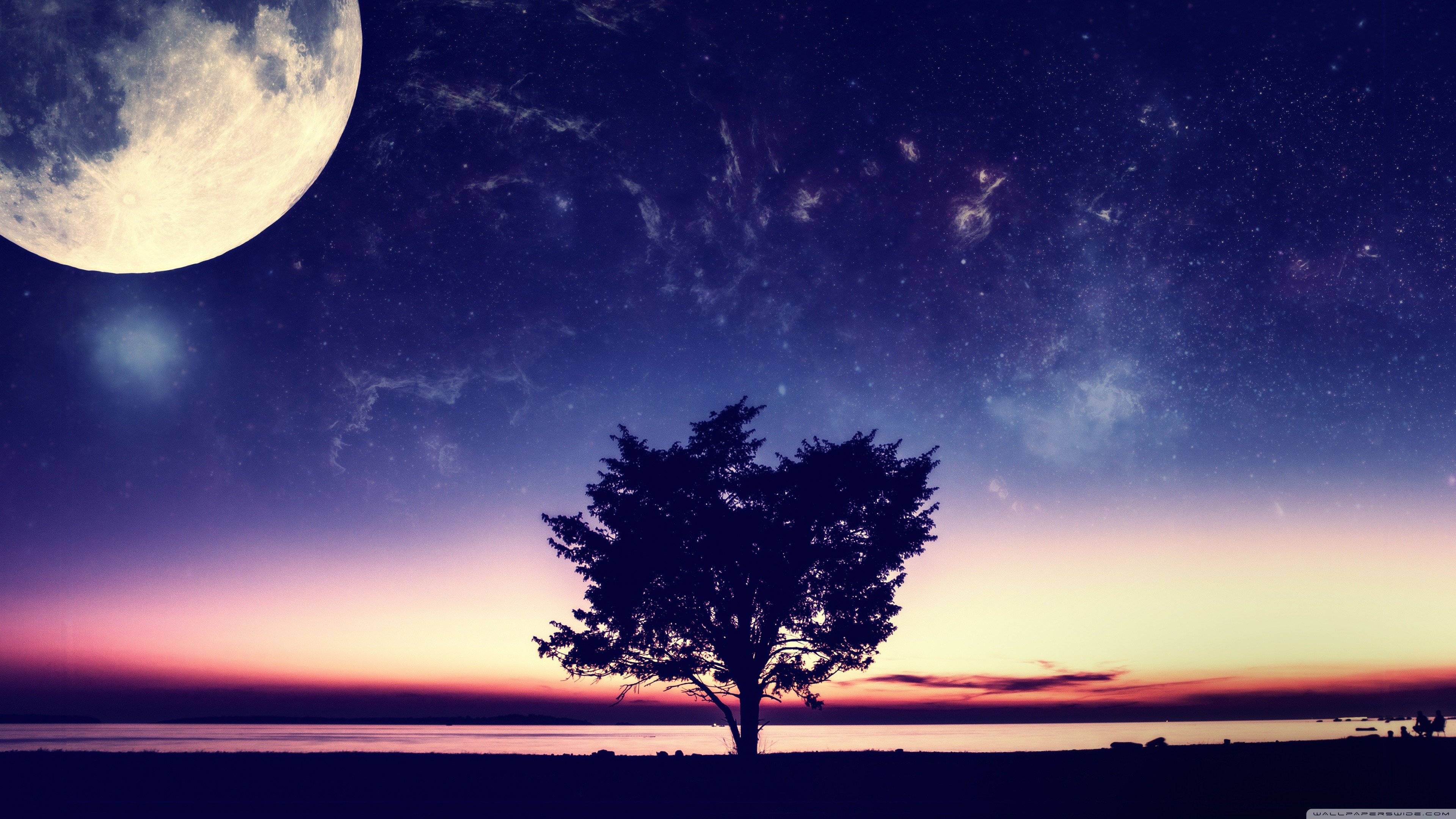 3840x2160 Wallhaven Wallpaper