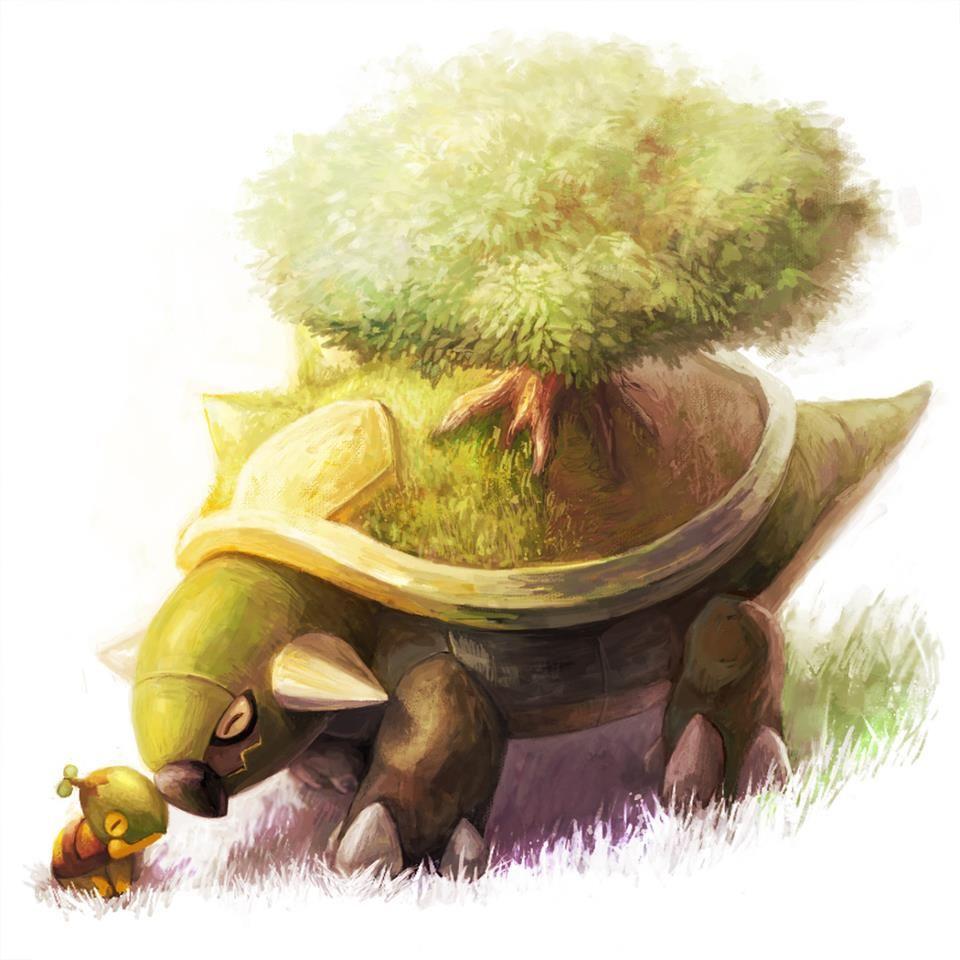 960x960 Torterra